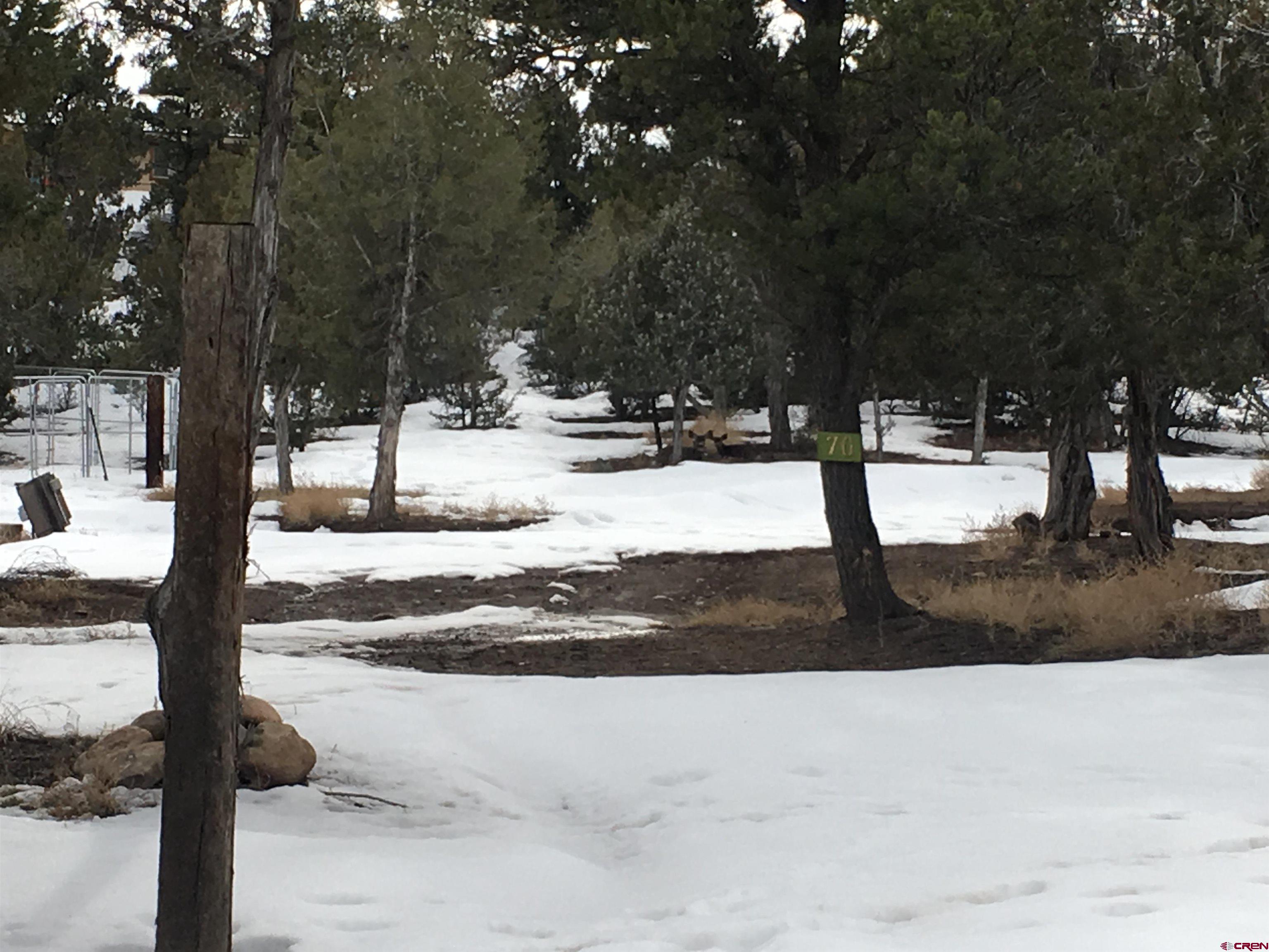 70 Wandering Hills Arboles CO 81121 Sold