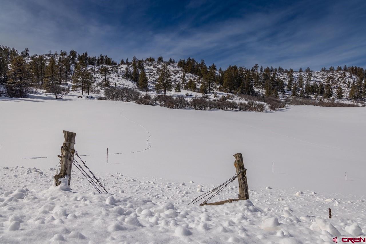 Pagosa Springs Land for Sale Galles Properties