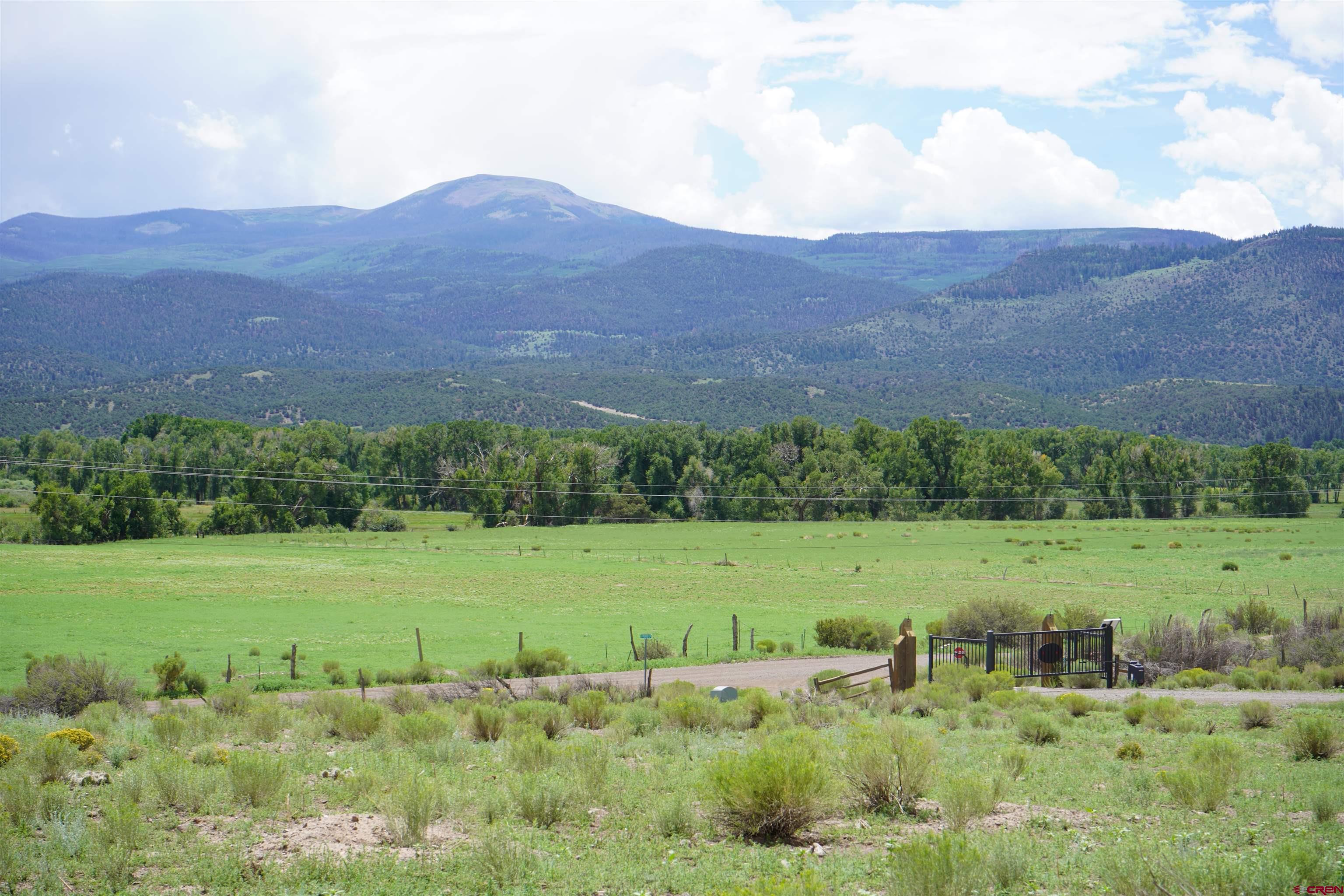 Photo of 130 E Pfieffer Loop in South Fork, CO
