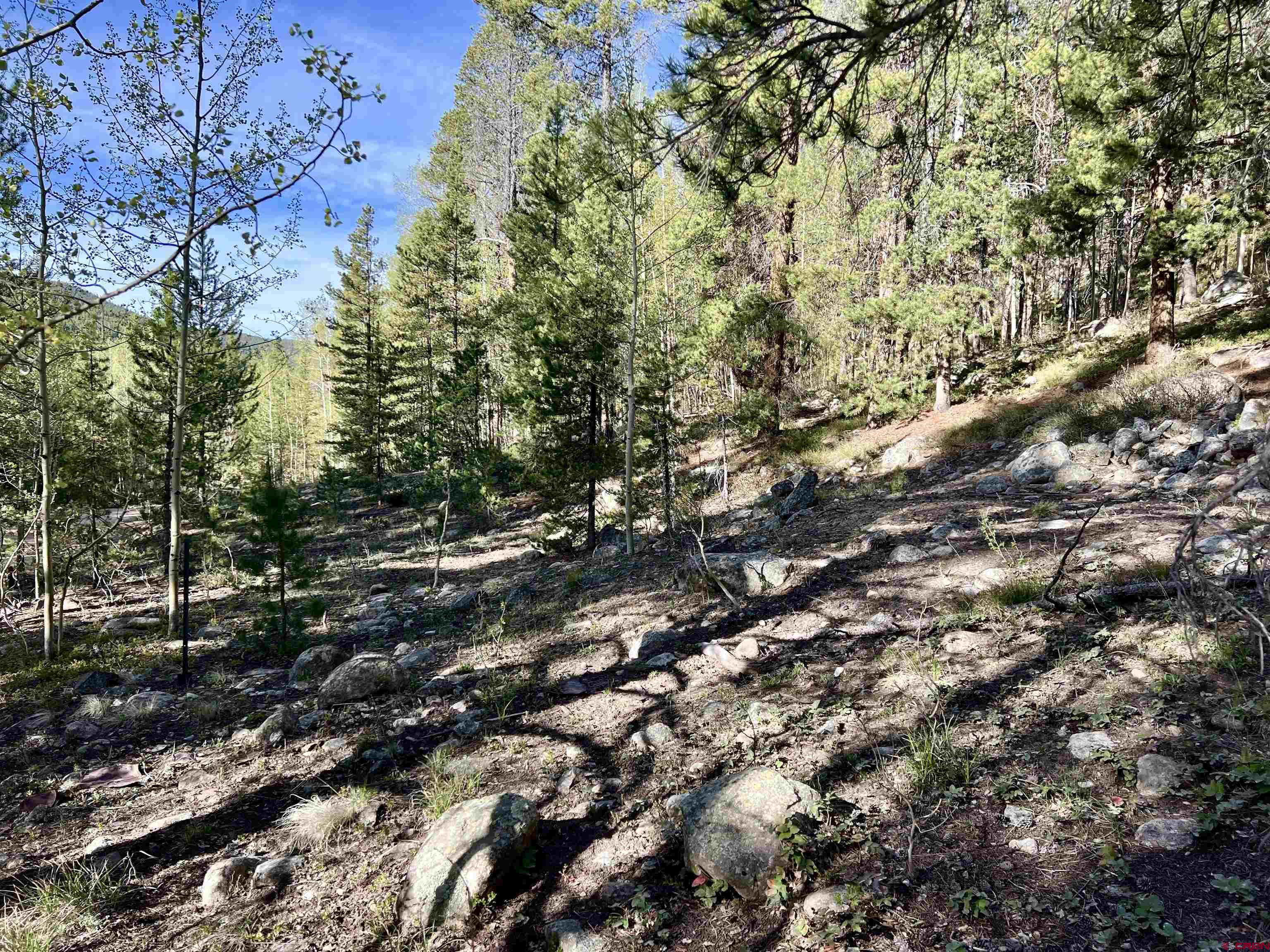 9900 County Road 888, White Pine, CO 