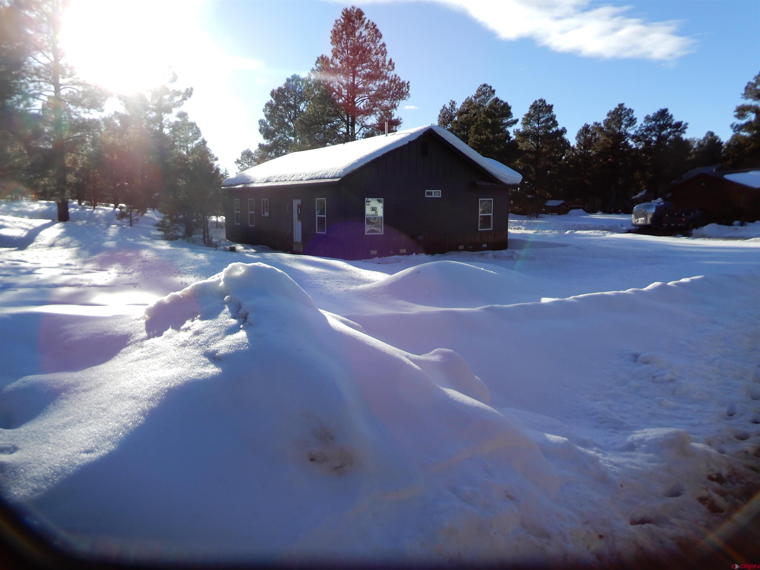 10 W Radiant Court, Pagosa Springs, CO 81147 Listing Photo  2