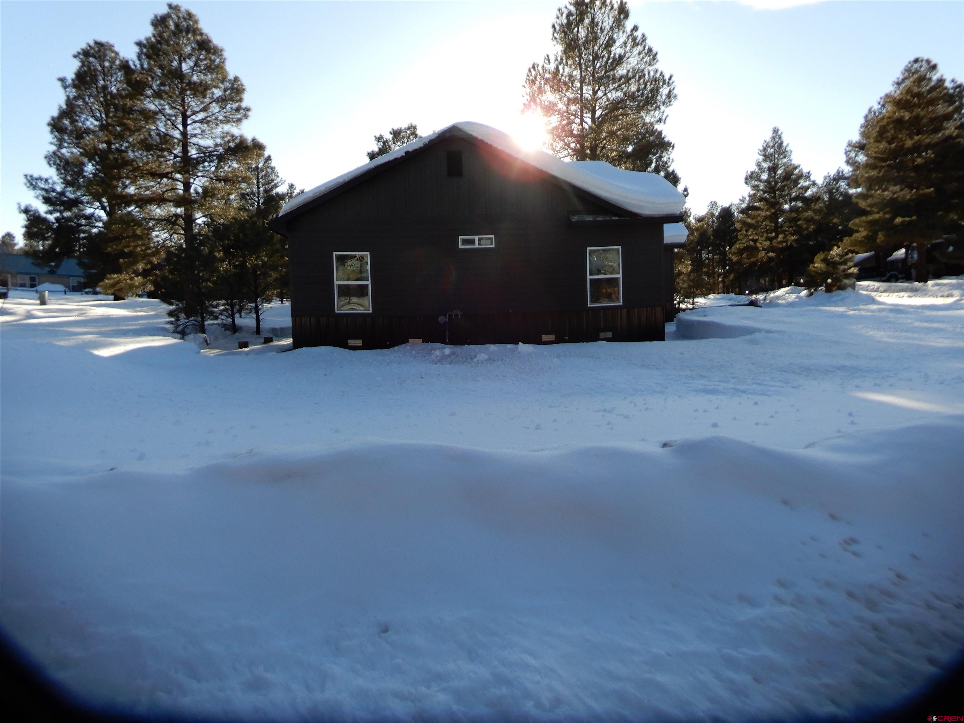10 W Radiant Court, Pagosa Springs, CO 81147 Listing Photo  3