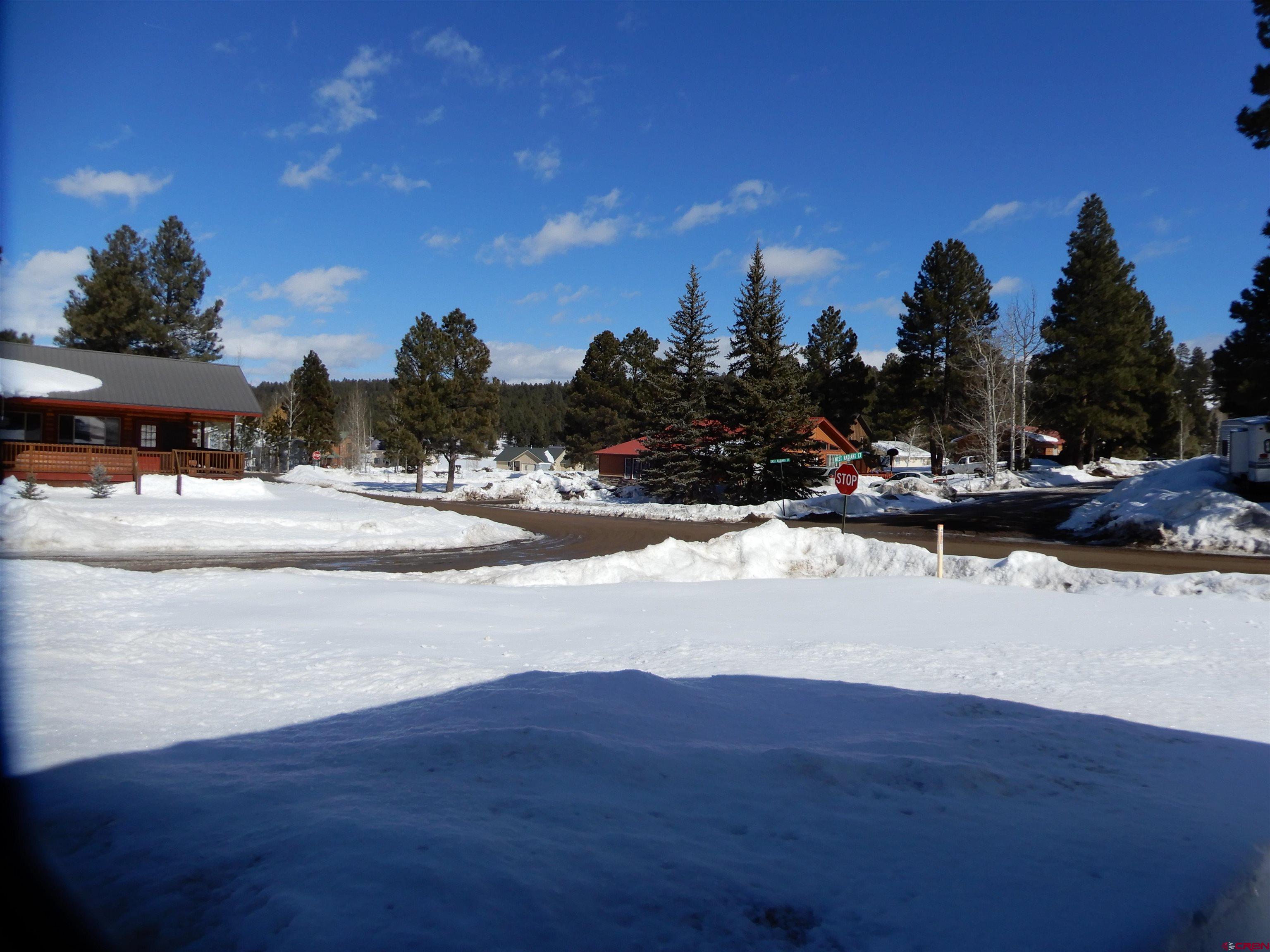 10 W Radiant Court, Pagosa Springs, CO 81147 Listing Photo  5