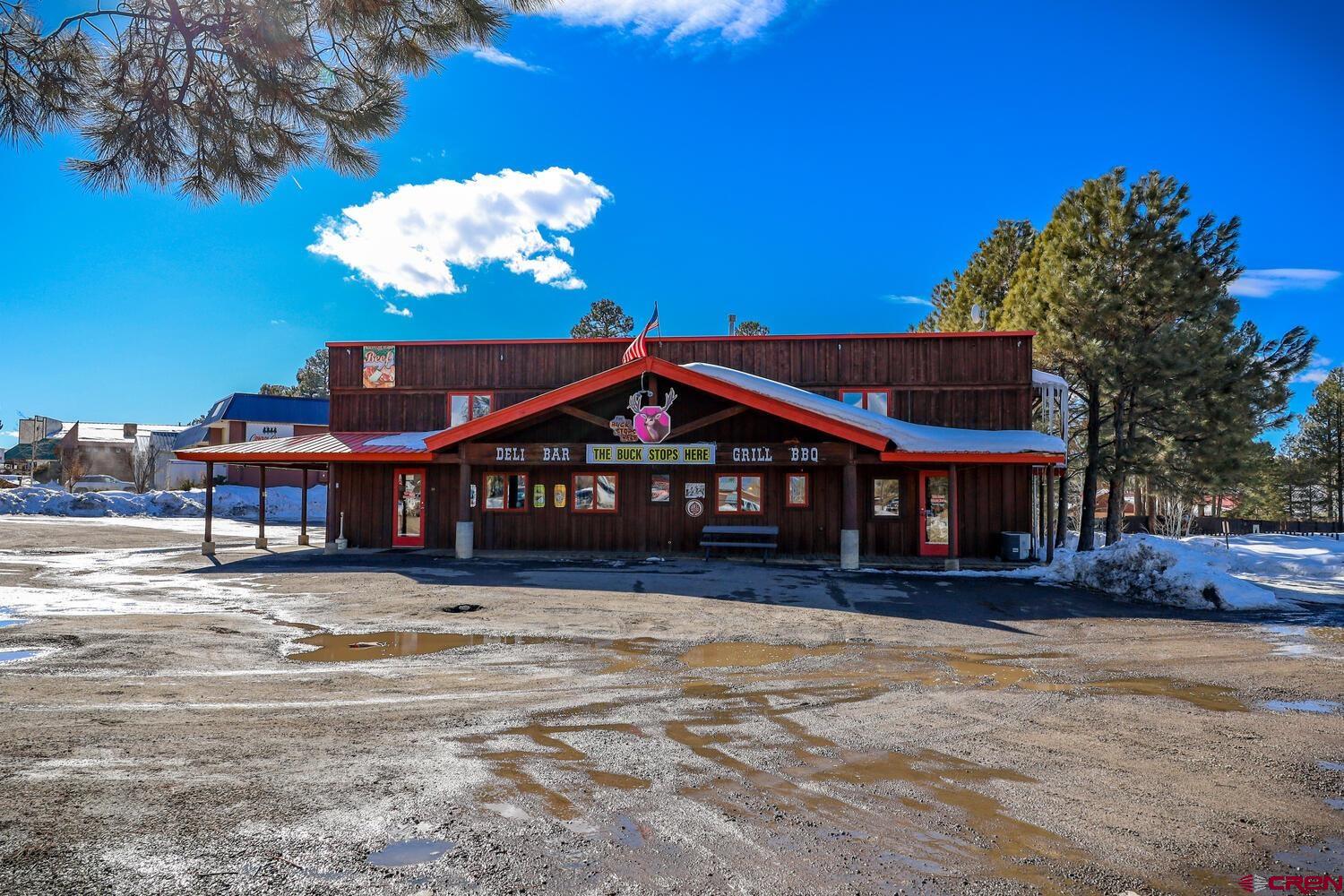 19 Navajo Trail Drive, Pagosa Springs, CO 81147 Listing Photo  3
