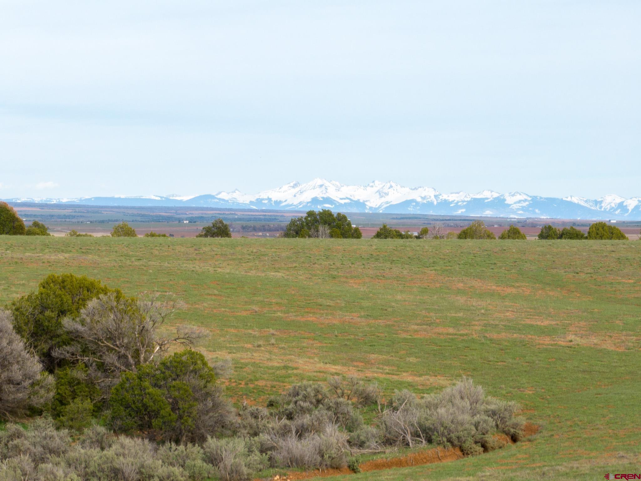 Photo of Crt in Cahone, CO