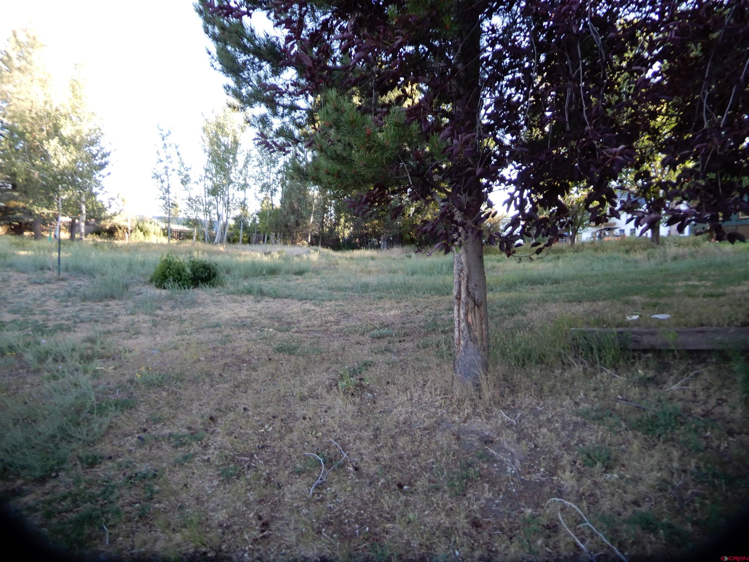 Lot 5Z-2 S 5th Street, Pagosa Springs, CO 81147 Listing Photo  14