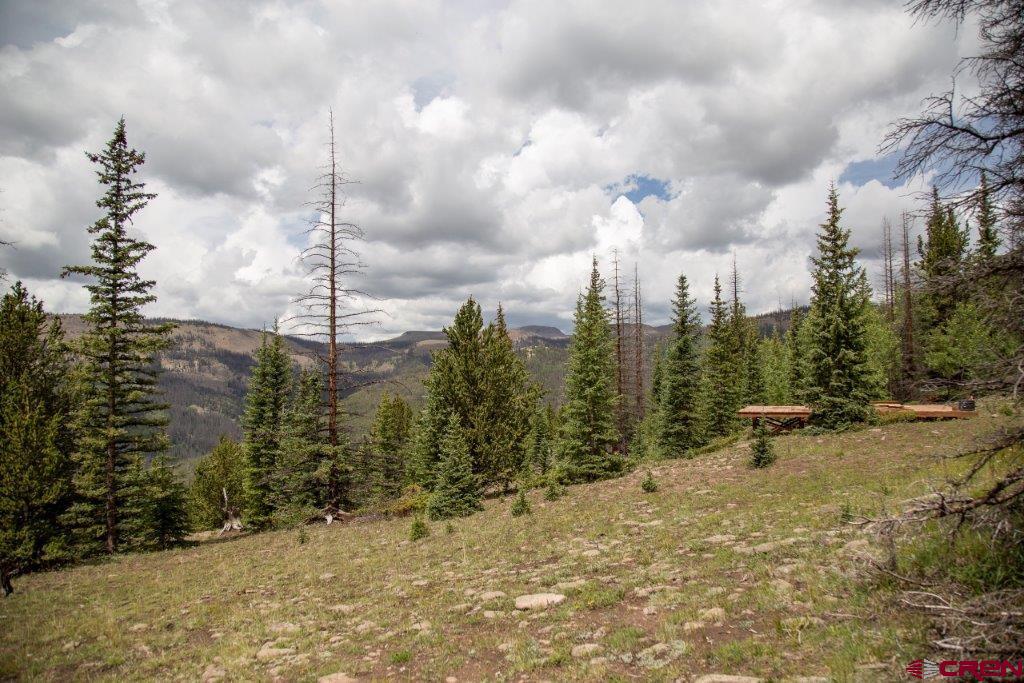 Photo of Xyz Forest Service Road 503 Rd in Creede, CO