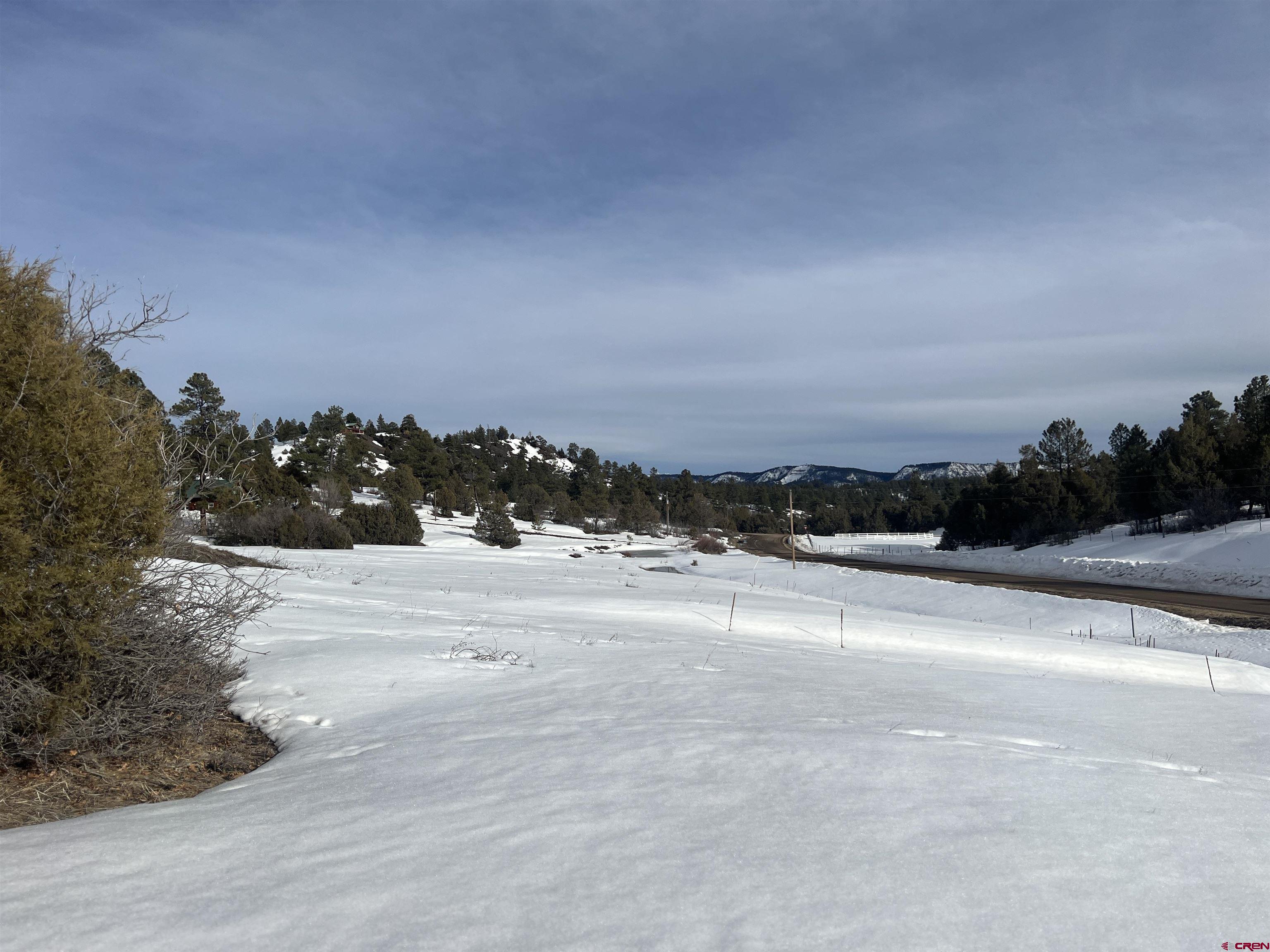 177 Elbert Place, Pagosa Springs, CO 81147 Listing Photo  3