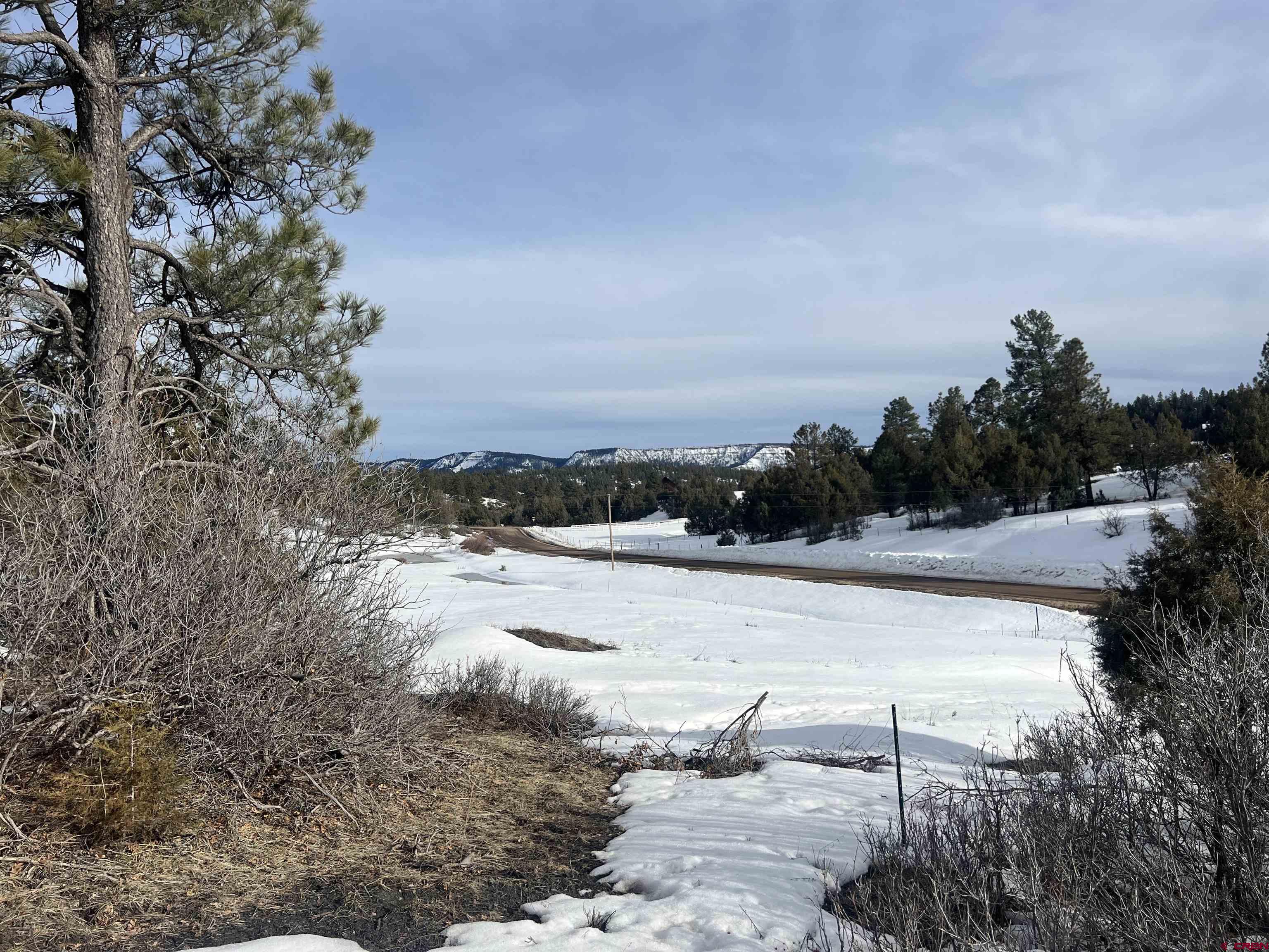 177 Elbert Place, Pagosa Springs, CO 81147 Listing Photo  8