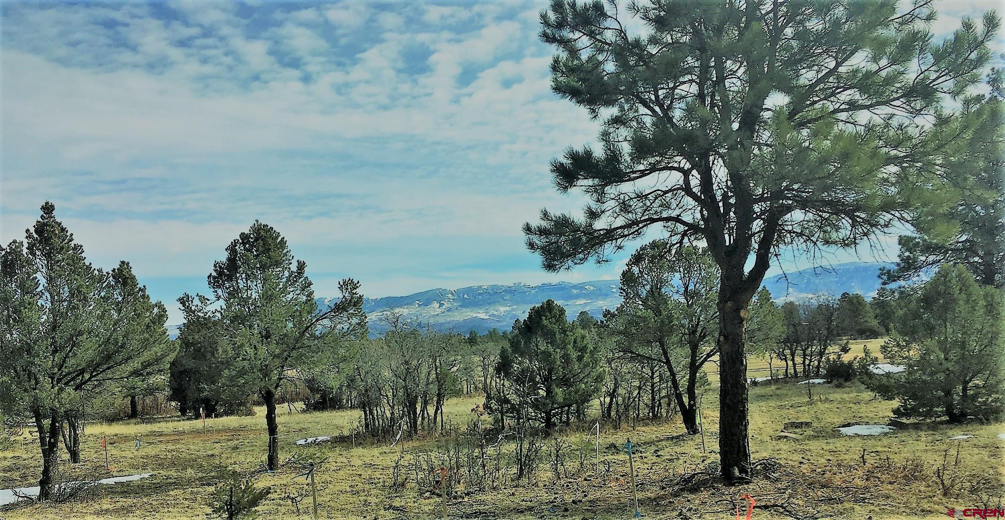 Beautiful level cluster lot at the tee on the first hole of the scenic Divide Ranch and Club.  Soaring ponderosa pines, gorgeous mountain views and golf course views. Large lot of 1.2 acres zoned multi-family allowing a build of 3 detached homes or a triplex.   Ownership includes The Divide Ranch and Golf Club with its 7038 YD, 18 hole award winning golf course. The fabulous clubhouse is a short walk, so enjoy Friday Night Burger Night (see clubhouse schedule) and walk home. Located on Log Hill, just 6 miles from the historic town of Ridgway and 30 minutes from Montrose Regional Airport; 45 minutes from Telluride's world class skiing and 10 miles from Ouray's famous hot springs and the San Juan Skyway.
