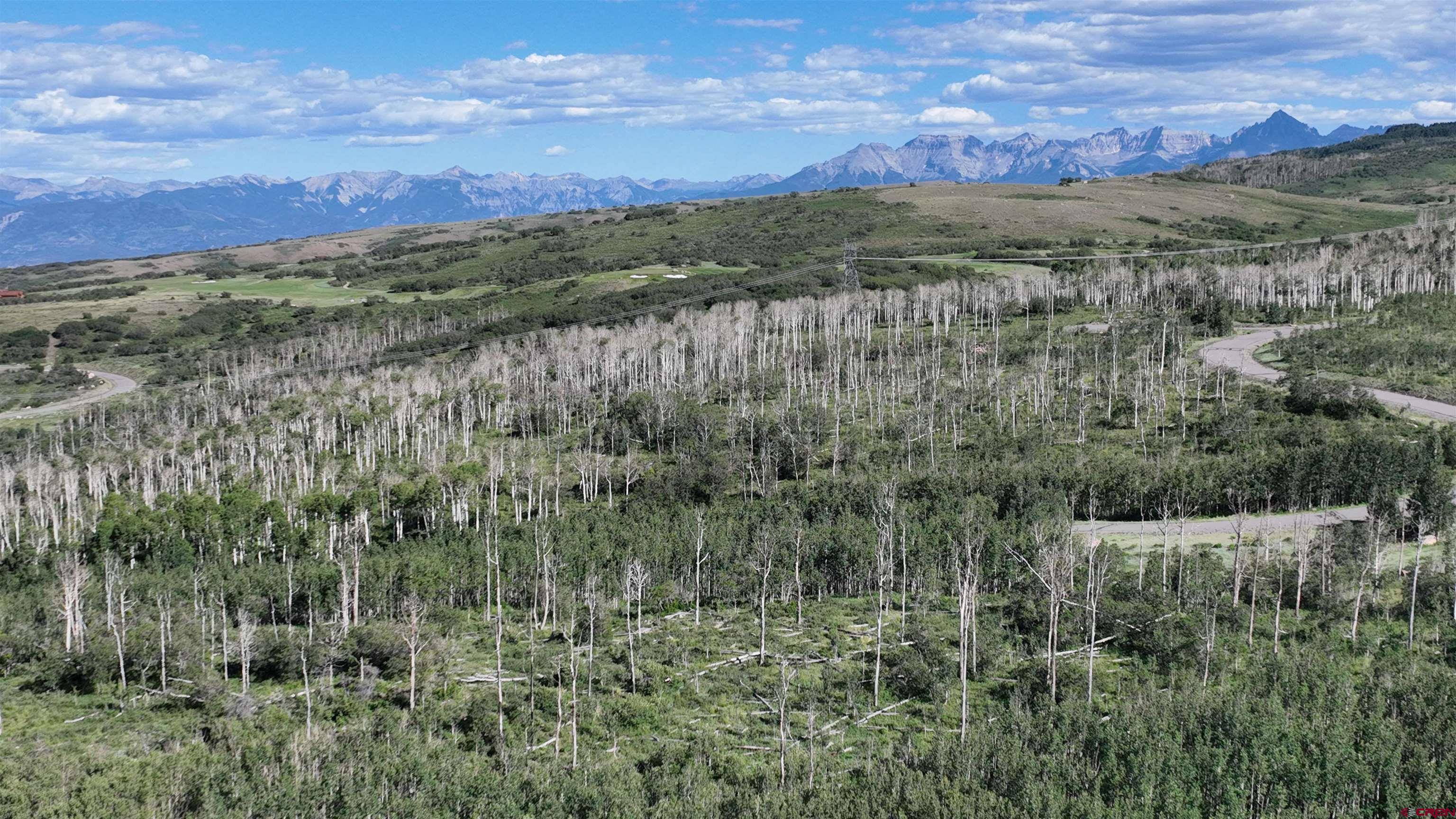 Photo of Homestead 13 Birdsong Ln in Montrose, CO
