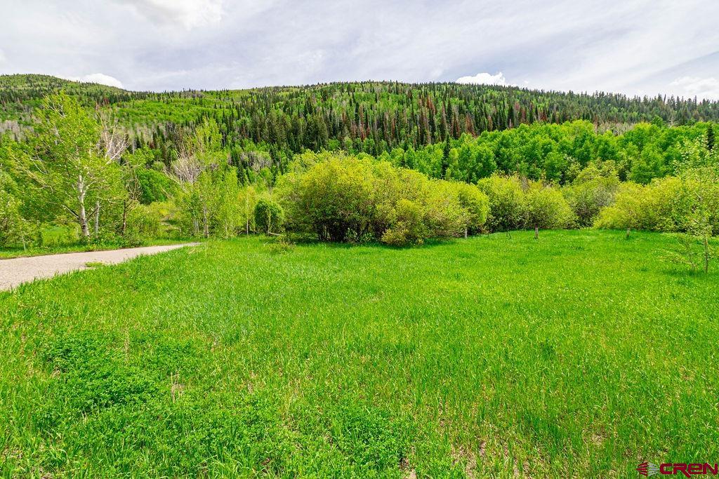 4933 Black Bear Court Mesa CO 81643 Active