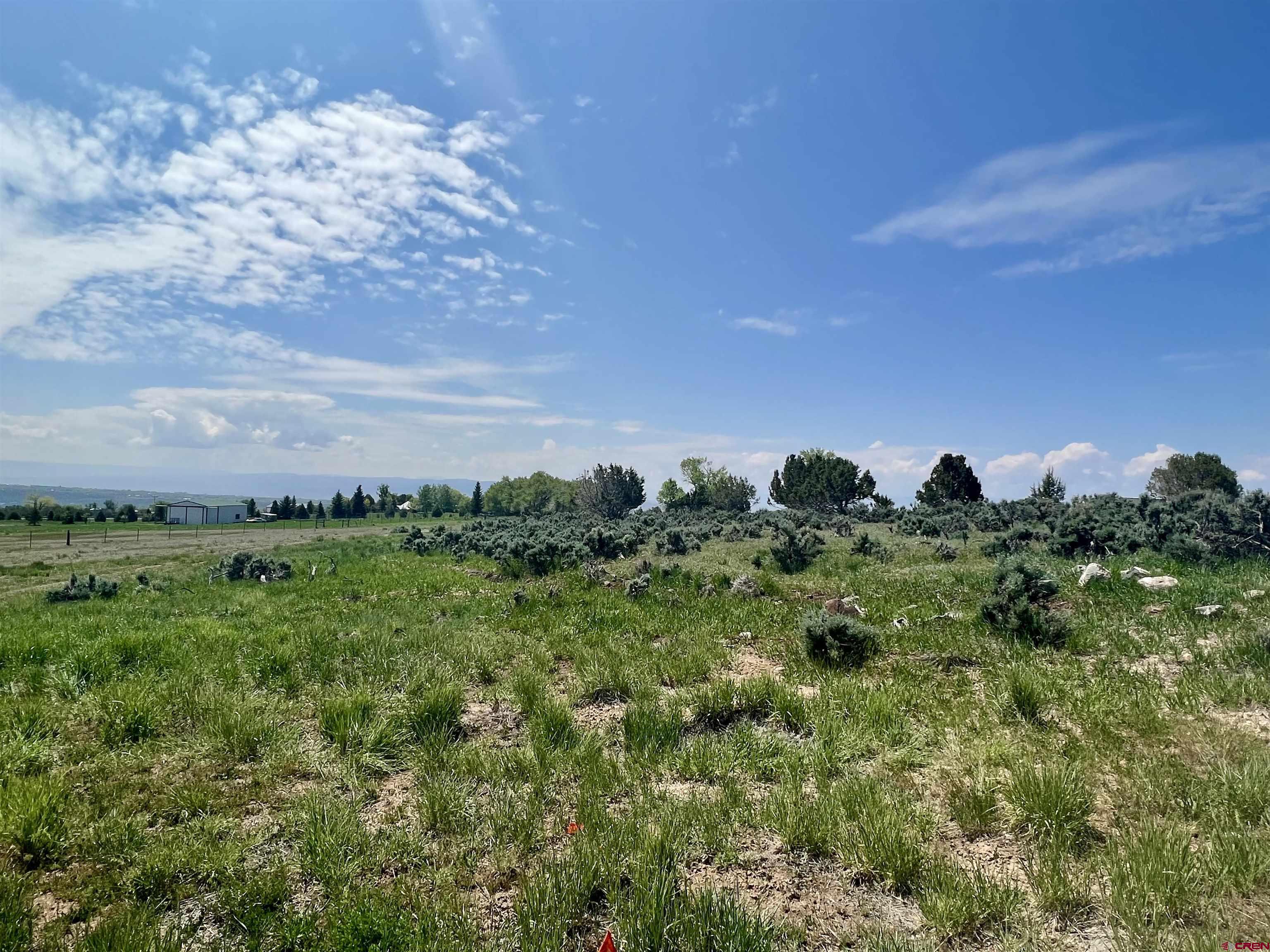 Great views of the Grand Mesa and West Elk Mountains from this 2.31+/- acre lot in Cedaredge! Perfect location to build your dream home and enjoy the abundant wildlife that frequently roam the property. While being close to all amenities in town, this property has no HOA or covenants. All boundaries are approximate until the survey is completed. Water tap is available through Upper Surface Creek Domestic but is not paid. Buyer to verify all information.