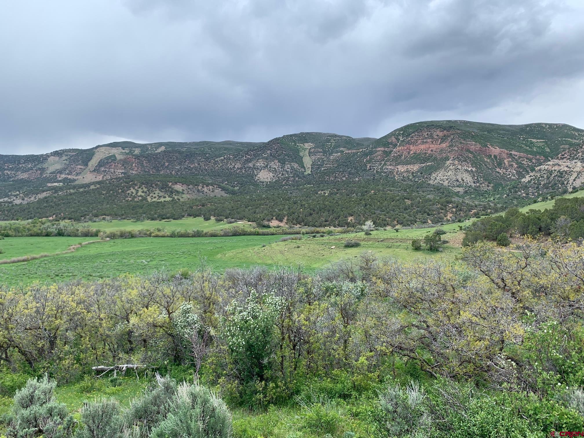 TBD County Rd 711 Road, Paonia, CO 81428