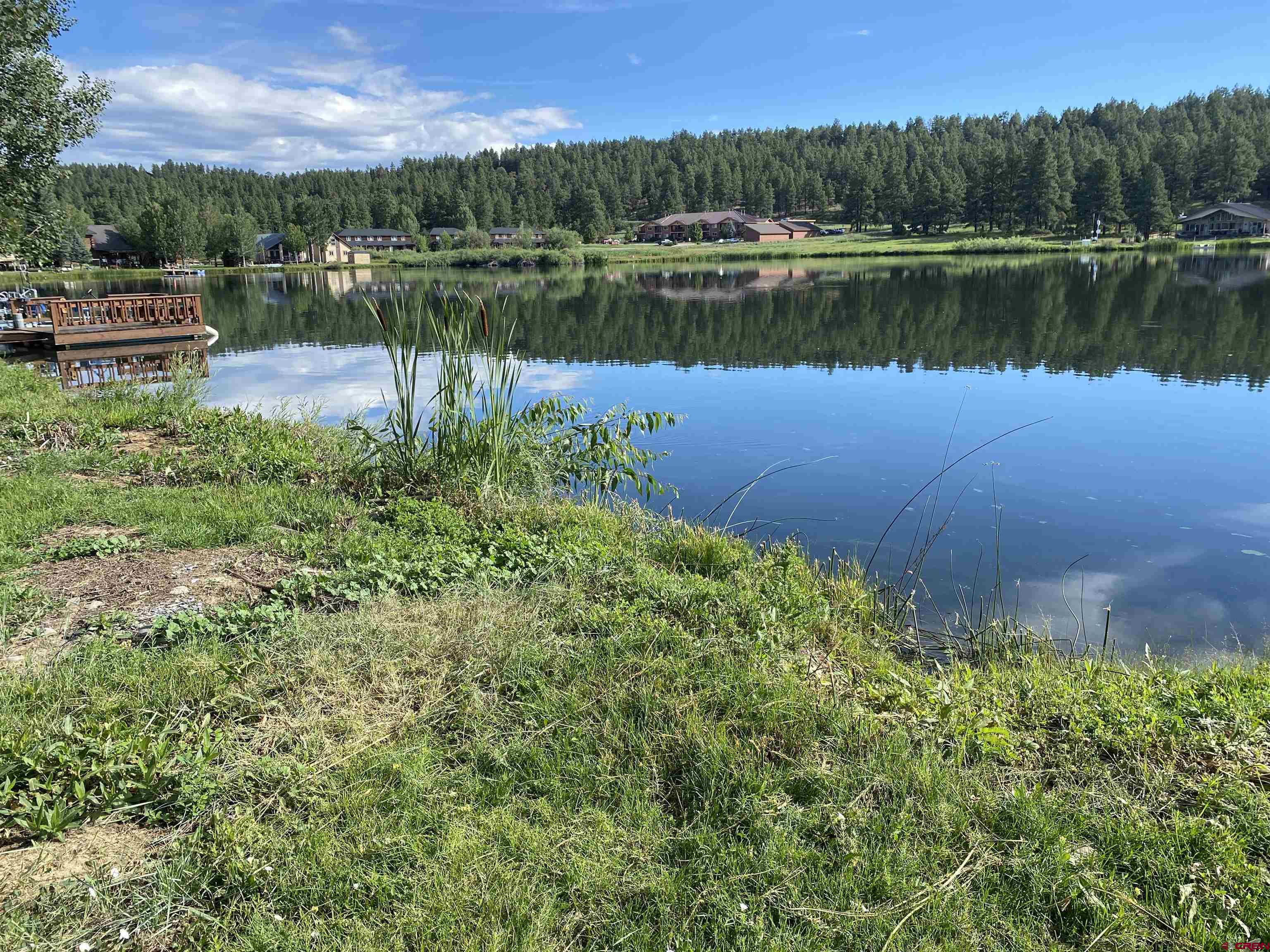 270 Butte Drive, Pagosa Springs, CO 81147 Listing Photo  7