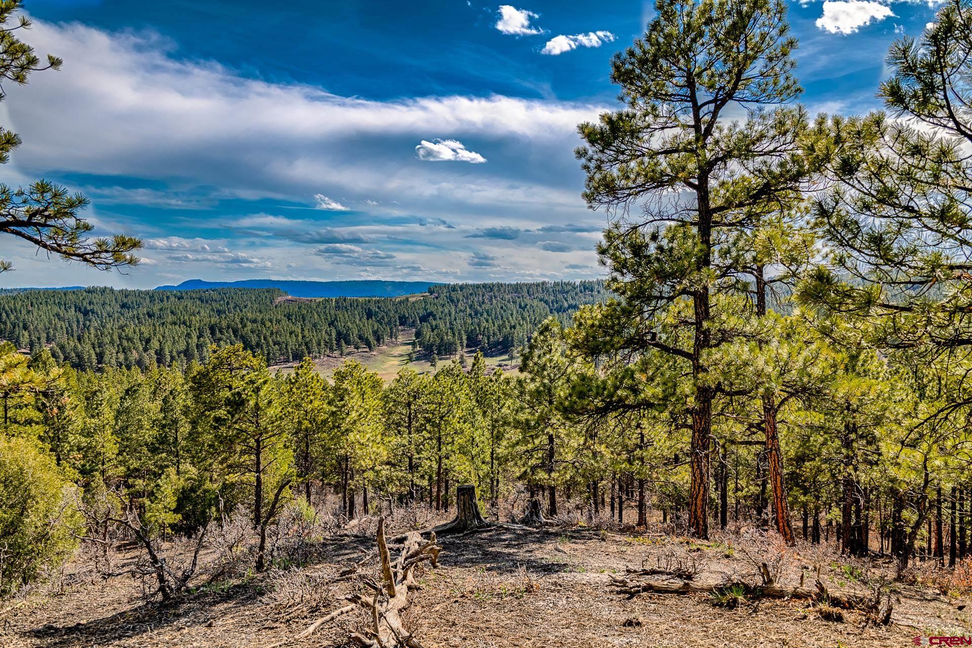 Lot_12 Hidden Valley Drive, Pagosa Springs, CO 81147 Listing Photo  1