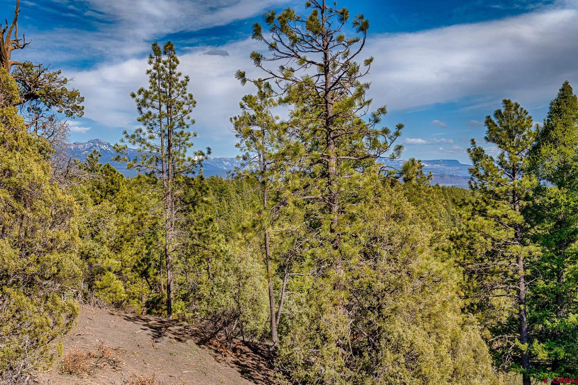 Lot_12 Hidden Valley Drive, Pagosa Springs, CO 81147 Listing Photo  2