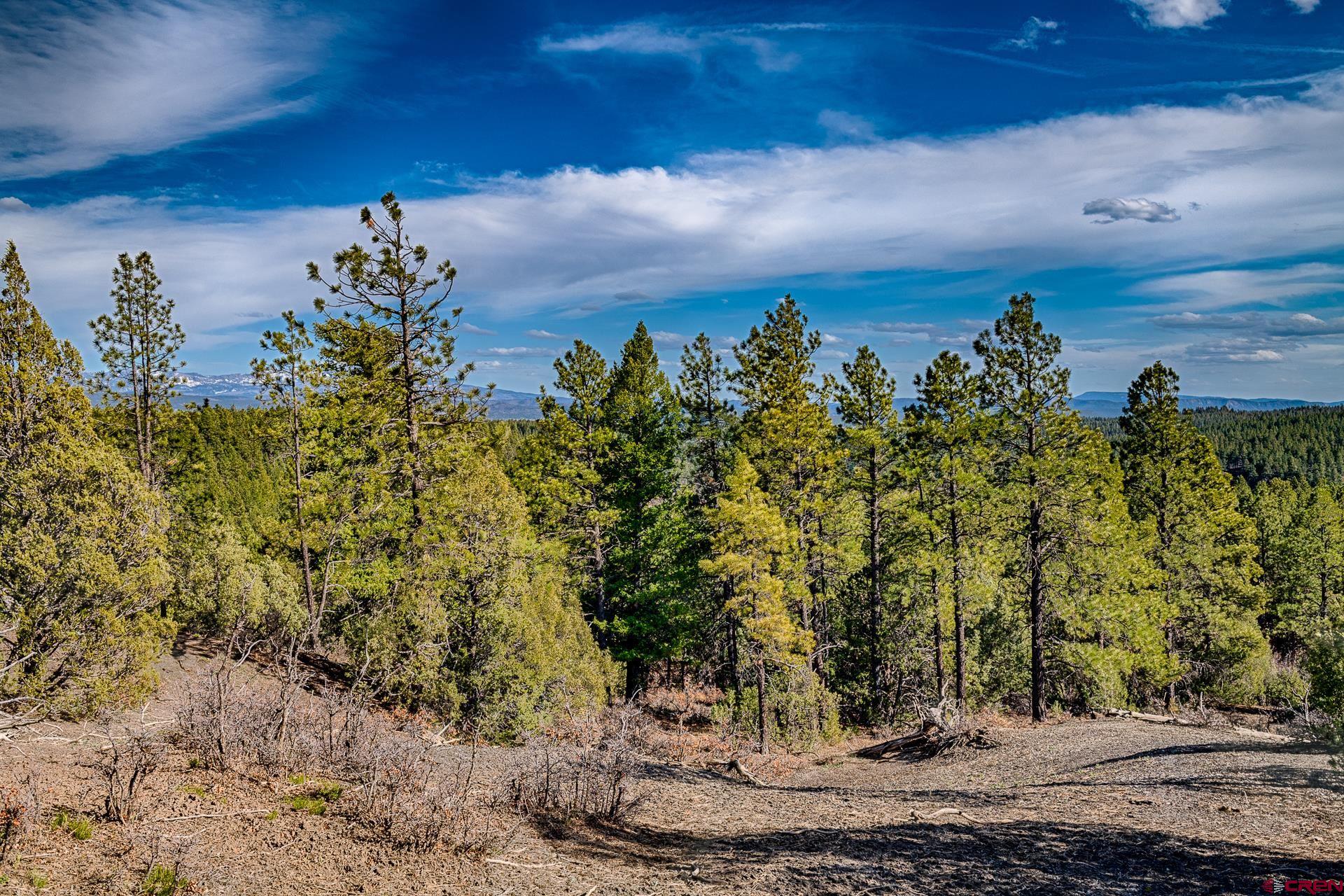 Lot_12 Hidden Valley Drive, Pagosa Springs, CO 81147 Listing Photo  3