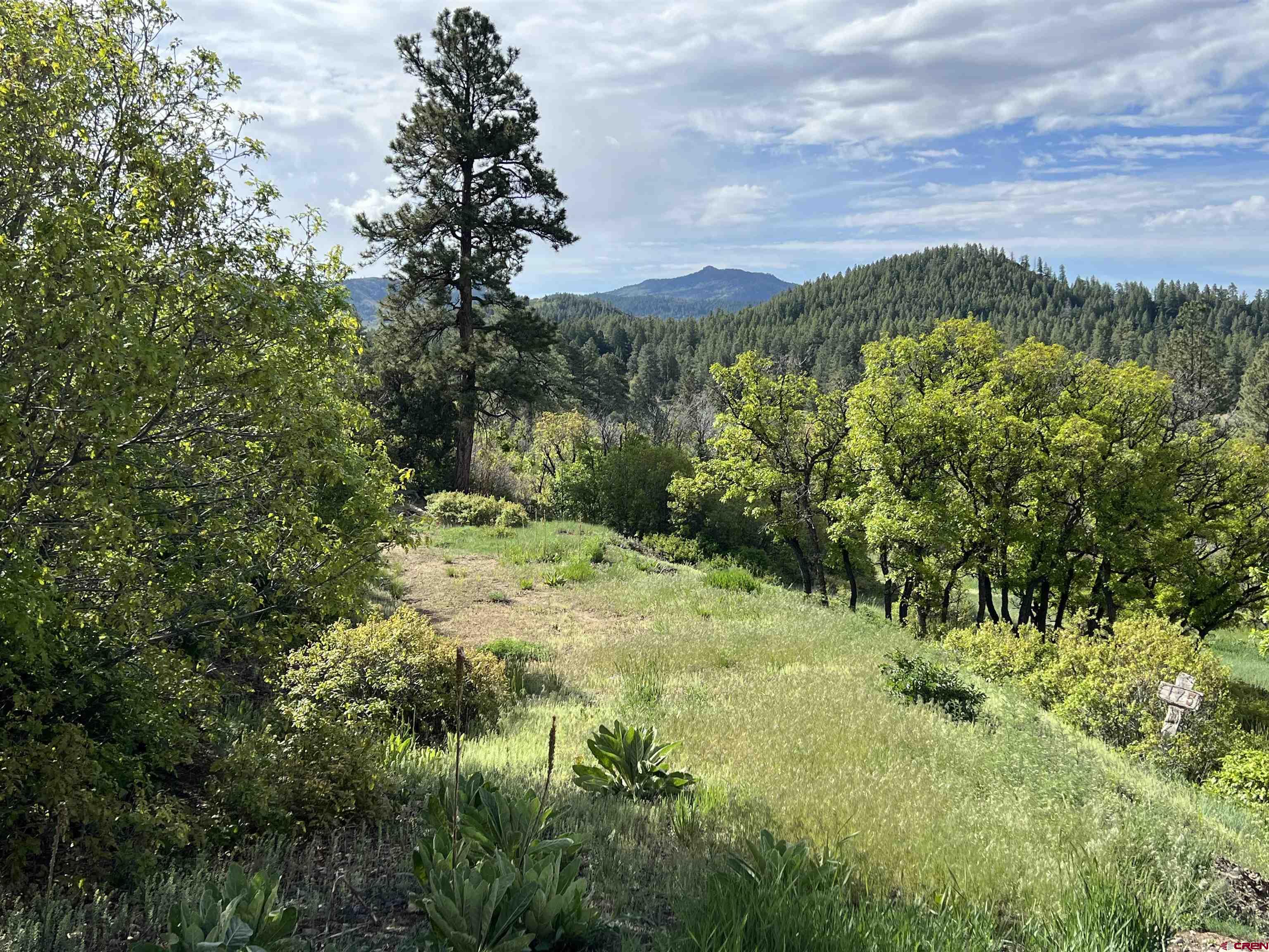 Photo of 175 E Arbol Park Dr in Chromo, CO