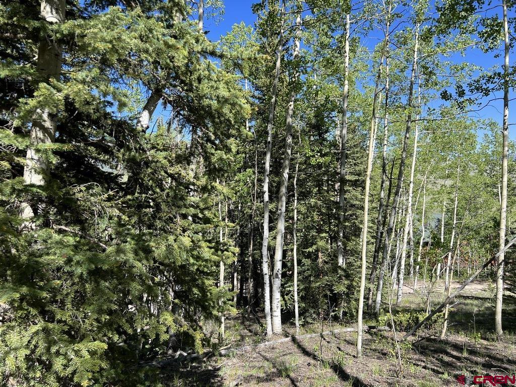 Photo of 32081 Bristol Head Dr in Creede, CO