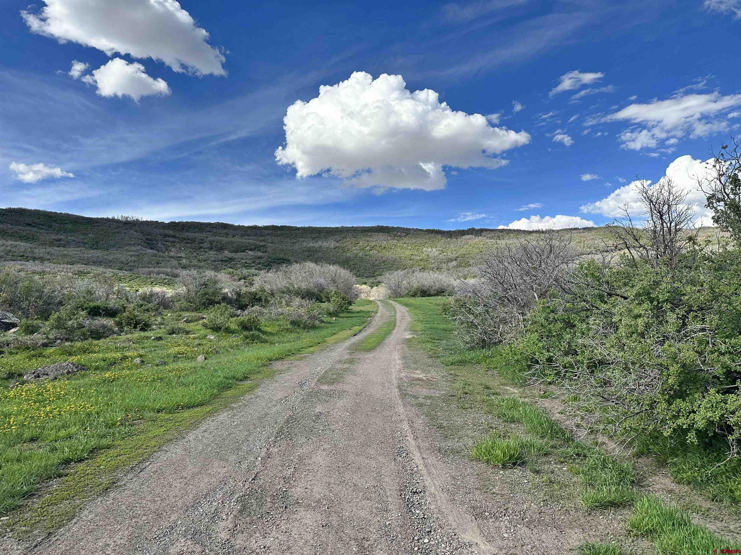 Incredible 40 acre parcel nestled at the base of the majestic Grand Mesa! Sitting on a south facing slope overlooking the gorgeous Cedaredge/Delta valley and surrounding mountains, the views from this property simply cannot be beat. A registered domestic well is already installed and is permitted for up to 3 residences, along with 1 acre of irrigation and watering of livestock. The parcel boasts multiple clearings and prime building sites! With varying terrain and foliage, this piece of property has so much to offer. Stands of scrub oak, pinion, sagebrush, rocky mountain junipers, and other native species call this land home. There is also a small retention pond that has been dug, perfect for keeping livestock watered. The property is just north of Cedaredge and is only minutes from public lands and a plethora of recreational opportunities. Come build your dream home on this secluded piece of Rocky Mountain paradise! *More pictures coming soon!*