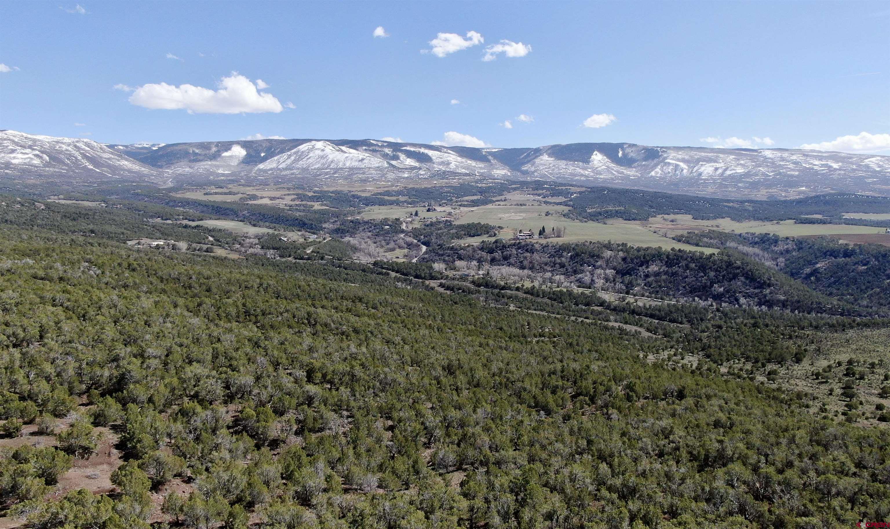 TBD 55 Road Collbran CO 81624 Active