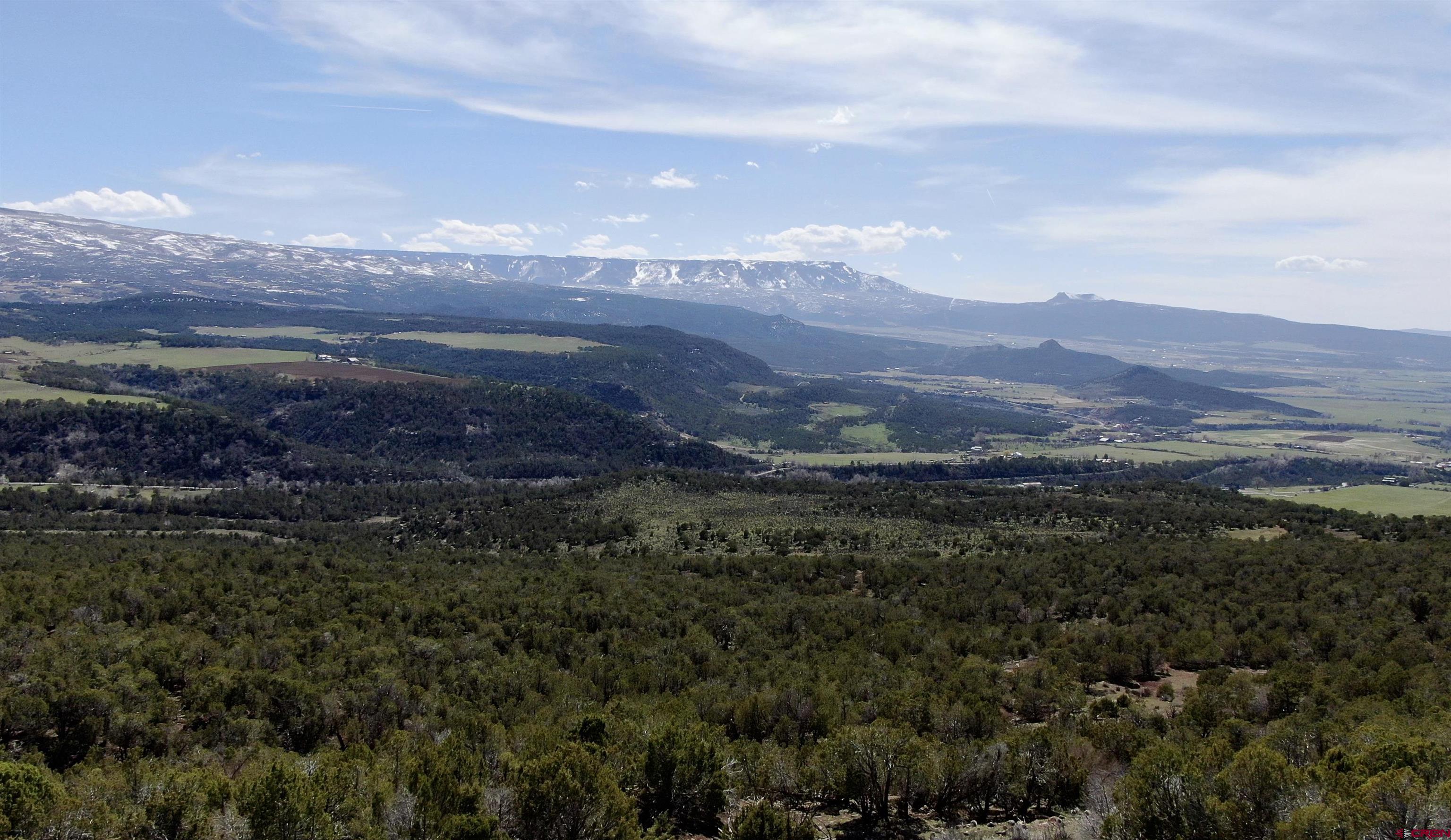 TBD 55 Road Collbran CO 81624 Active