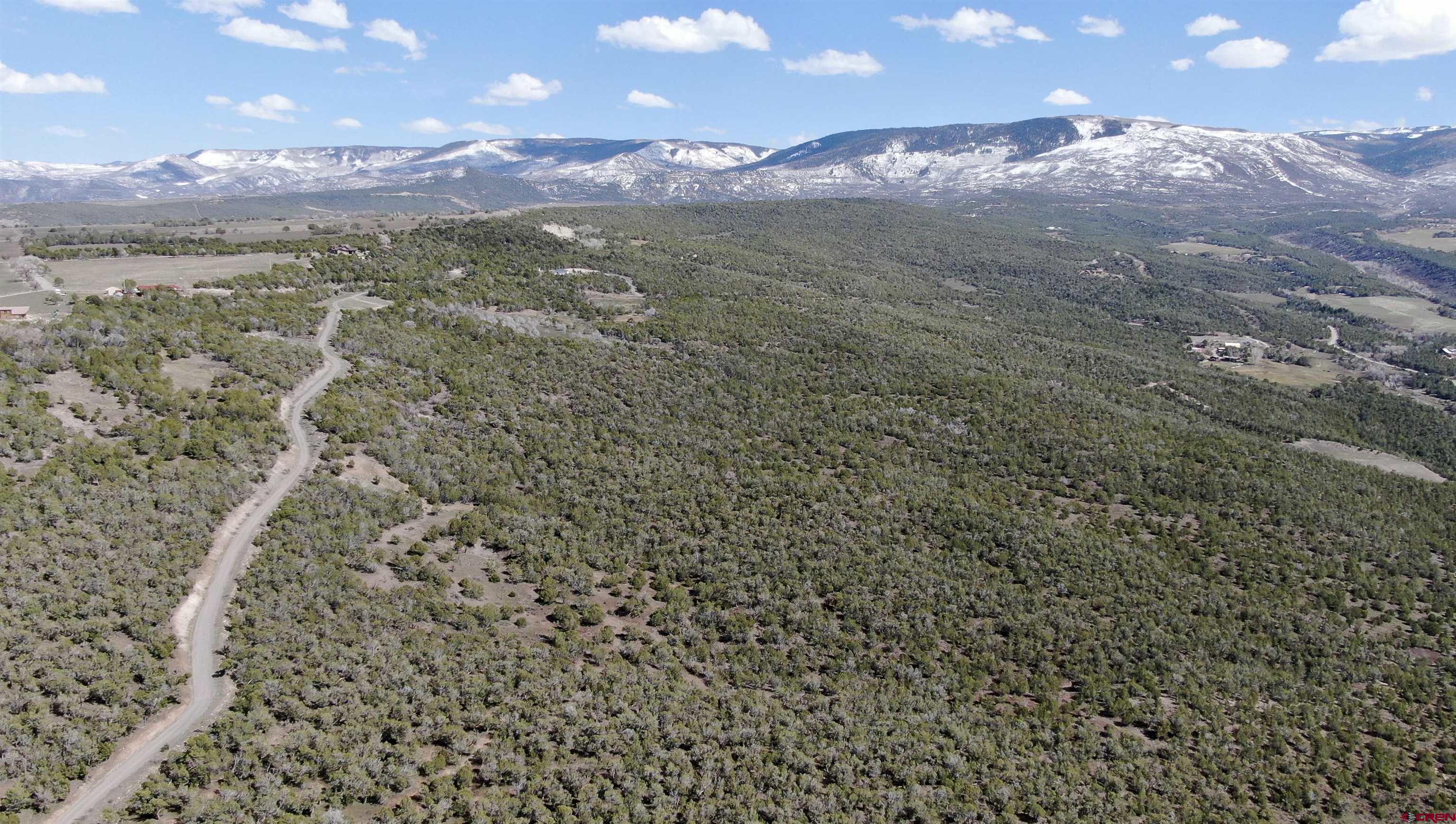 TBD 55 Road Collbran CO 81624 Active