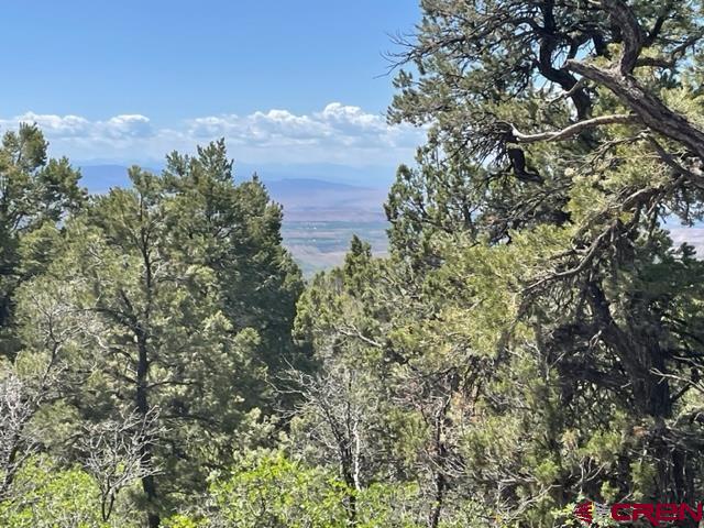 Stunning Views of the mountains and the valley floor. Gravel drive installed. Buyer will need to drill a water well for domestic water.  Gated Community.