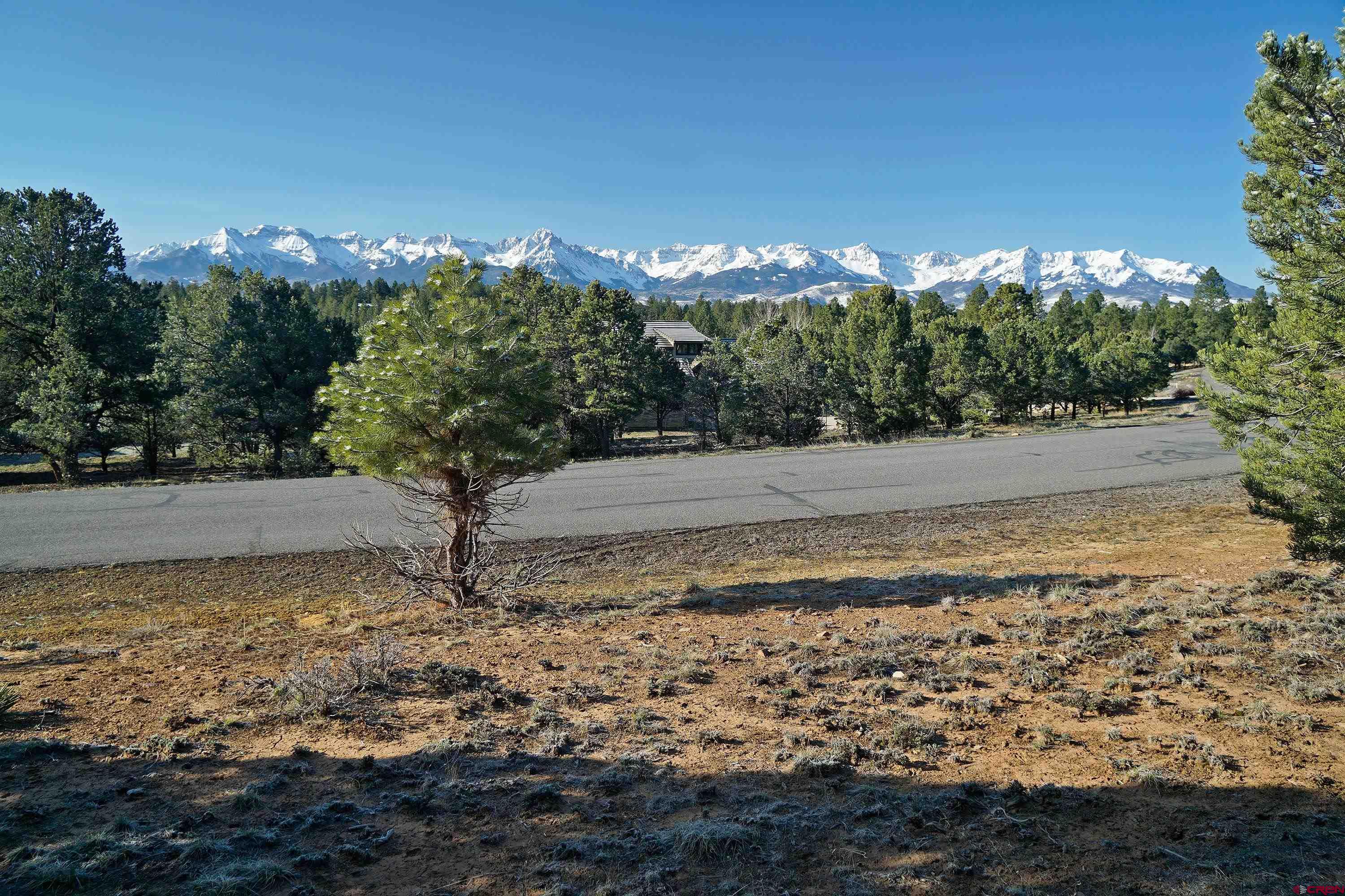 Undoubtedly one of the best view lots in the entire county at anywhere near this price! Level lot with the soil tests for foundation/septic already completed.  All photos were taken from ground level with no deceptive drone views.  With proper HOA approved tree removal/trimming, you can have almost unobstructed views of the San Juan range, including Mt. Sneffels, from the first level!  A second story would take the views to an insane viewing experience.  High speed fiber optic internet from Clearnetworx is in the road directly in front of the lot.  The Divide Ranch and Club golf course on Log Hill Mesa is one of the best kept secrets in Colorado. If you enjoy golf, beautiful scenery, outdoor activities, and friendly people, your search is over. Recreational activities abound in the area. Ridgway State Park which has great boating, fishing, and camping is located about 15 minutes away. Telluride and its exceptional skiing is a short 45 minute drive. The mountains are well known for their stunning vistas which can be reached by 4WD or hiking for the more adventurous. There is also biking, rafting, camping, fishing, hunting, and a host of other activities. Ridgway is still a small town with some of the friendliest people you will ever meet. There are plenty of great eating establishments, art galleries, and cultural activities to keep everyone entertained. Montrose is located only 30 minutes north which offers about anything you will ever need. They have one of the top rated regional hospitals in the country, regional airport, Home Depot, large grocery stores, Walmart, and numerous other national and local businesses. Founders level golf membership automatically transfers with the sale of the lot.