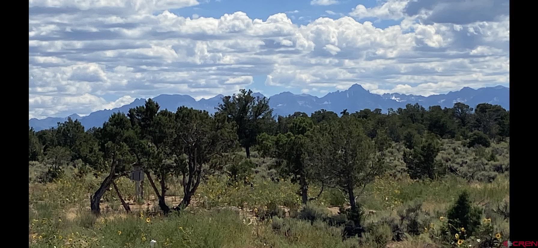 Photo of 794 Serenity Trl in Montrose, CO