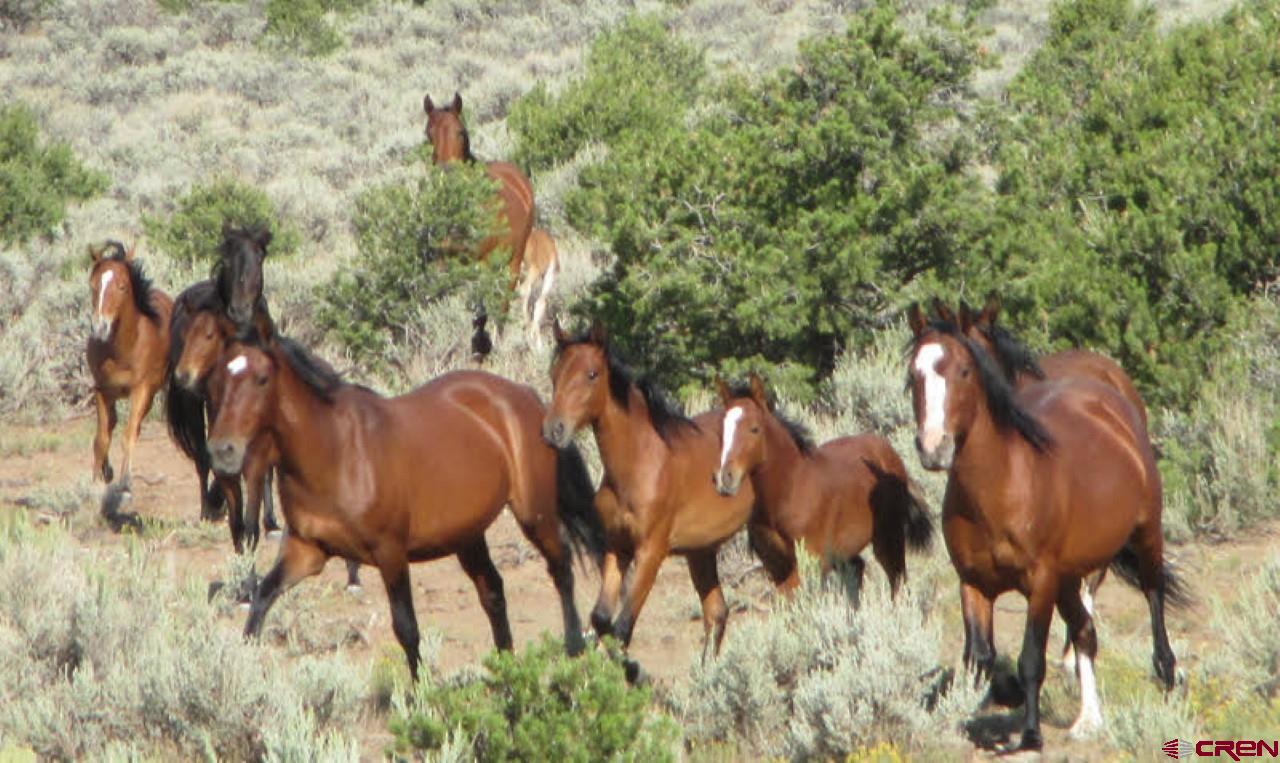 Photo of 16151 Antelope Trl in San Luis, CO