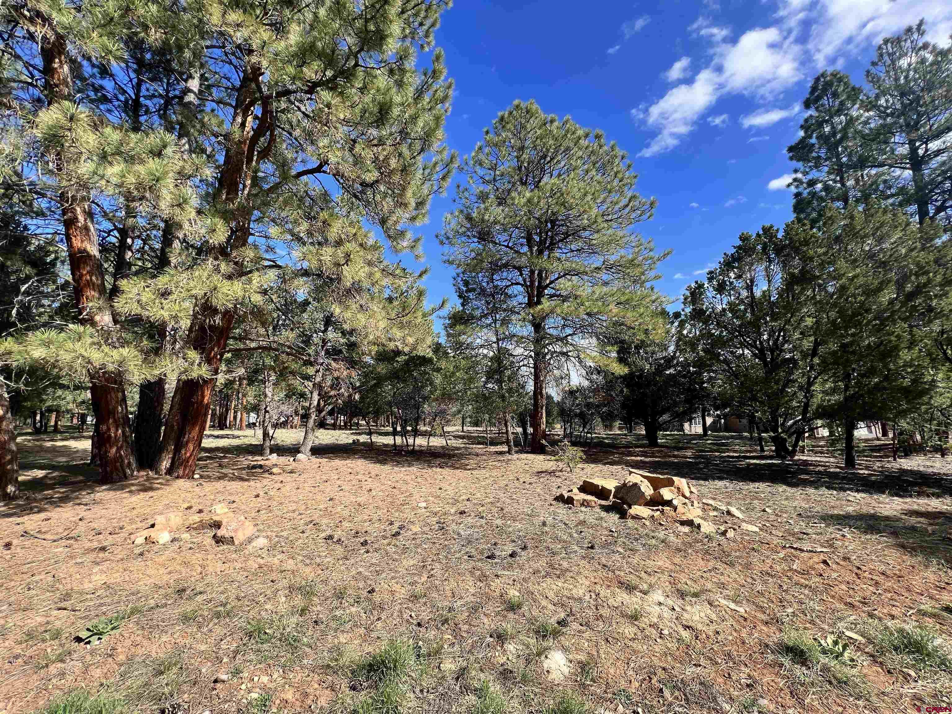 Build your dream home on this stunning vacant lot in the Divide Ranch and Club golf community. With mature ponderosa pines dotting the landscape and semi-obstructed views of the San Juan Mountains, this property offers the perfect balance of privacy and natural beauty. Whether you are an avid golfer or simply enjoy being surrounded by wildlife and nature, this lot is sure to exceed your expectations.   Located just minutes from the first tee box and 45 minutes from world-class skiing in Telluride, this lot is situated in an idyllic setting for outdoor enthusiasts. With hiking, biking, climbing, fishing and breathtaking scenery at your fingertips, this location has it all.  Don't miss this opportunity to build your next spacious and luxurious retreat in one of the most picturesque locations in the region!