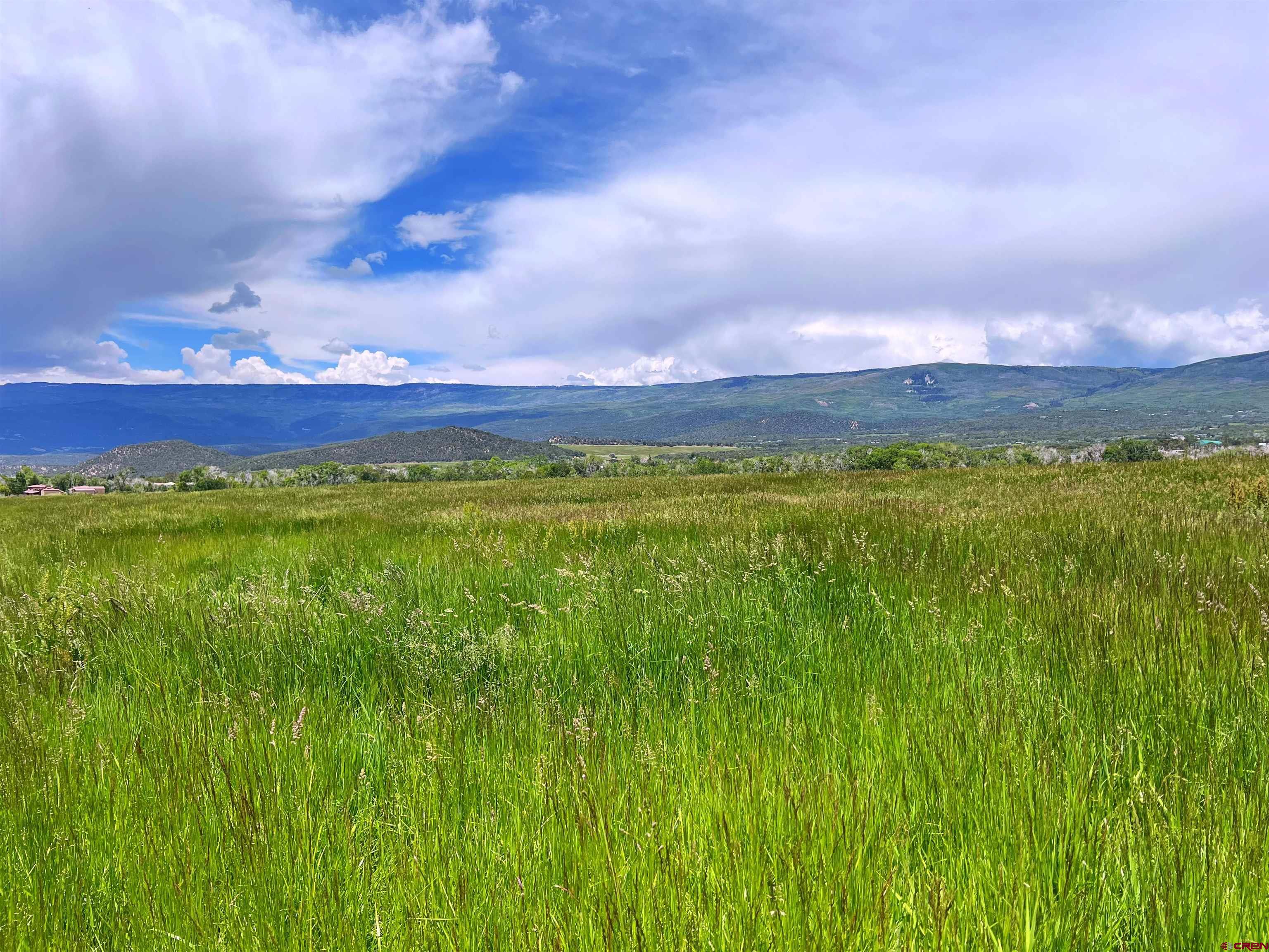 TBD Hwy 65, Cedaredge, CO 81413
