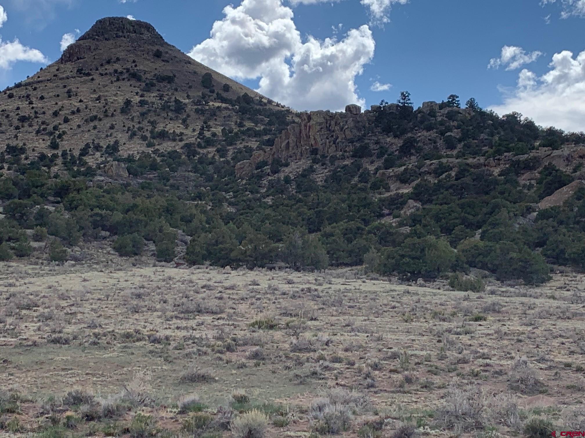 Photo of 1341 Pronghorn Trl in Del Norte, CO