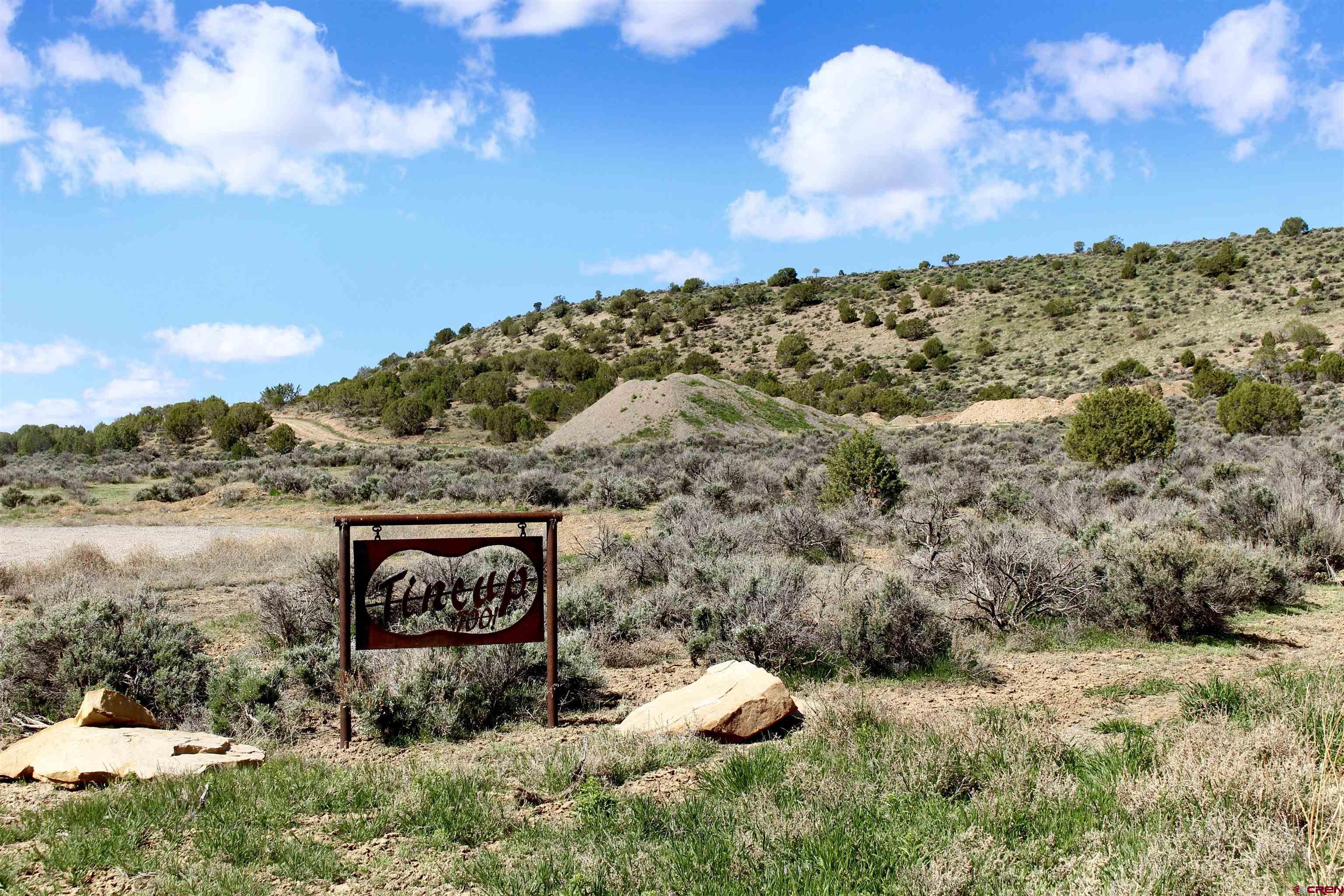 Tin Cup Lot 2 6300 Road, Montrose, CO 81403 Listing Photo  8