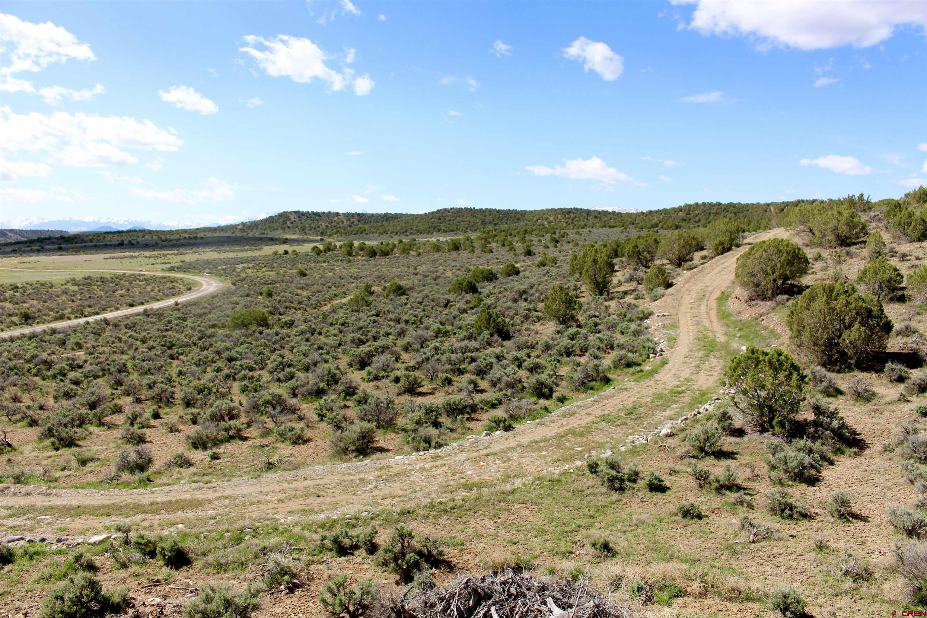 Tin Cup Lot 2 6300 Road, Montrose, CO 81403 Listing Photo  9