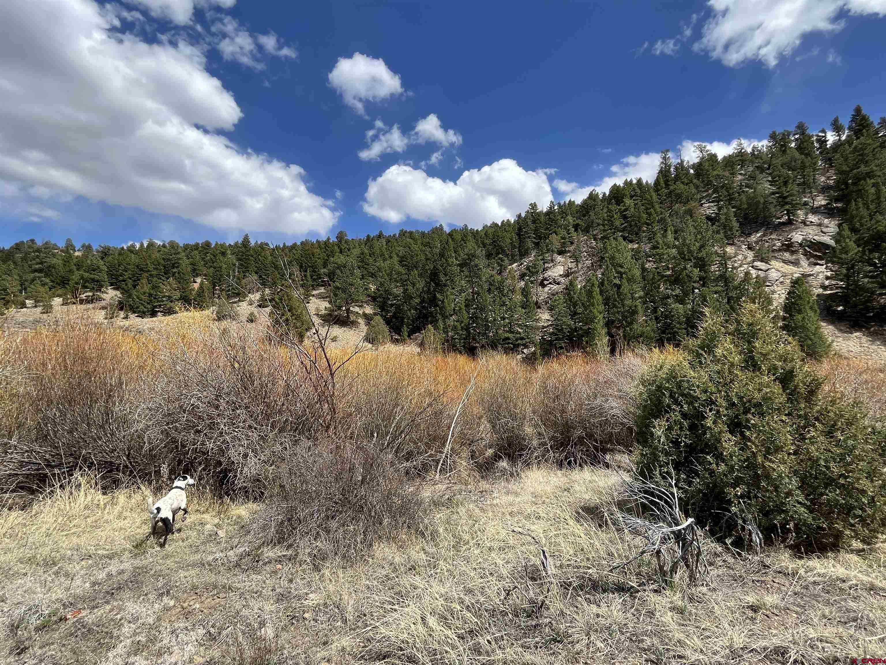 TBD Forbes Wagon Creek Ranch Lot 143 Fort Garland CO 81133 Active