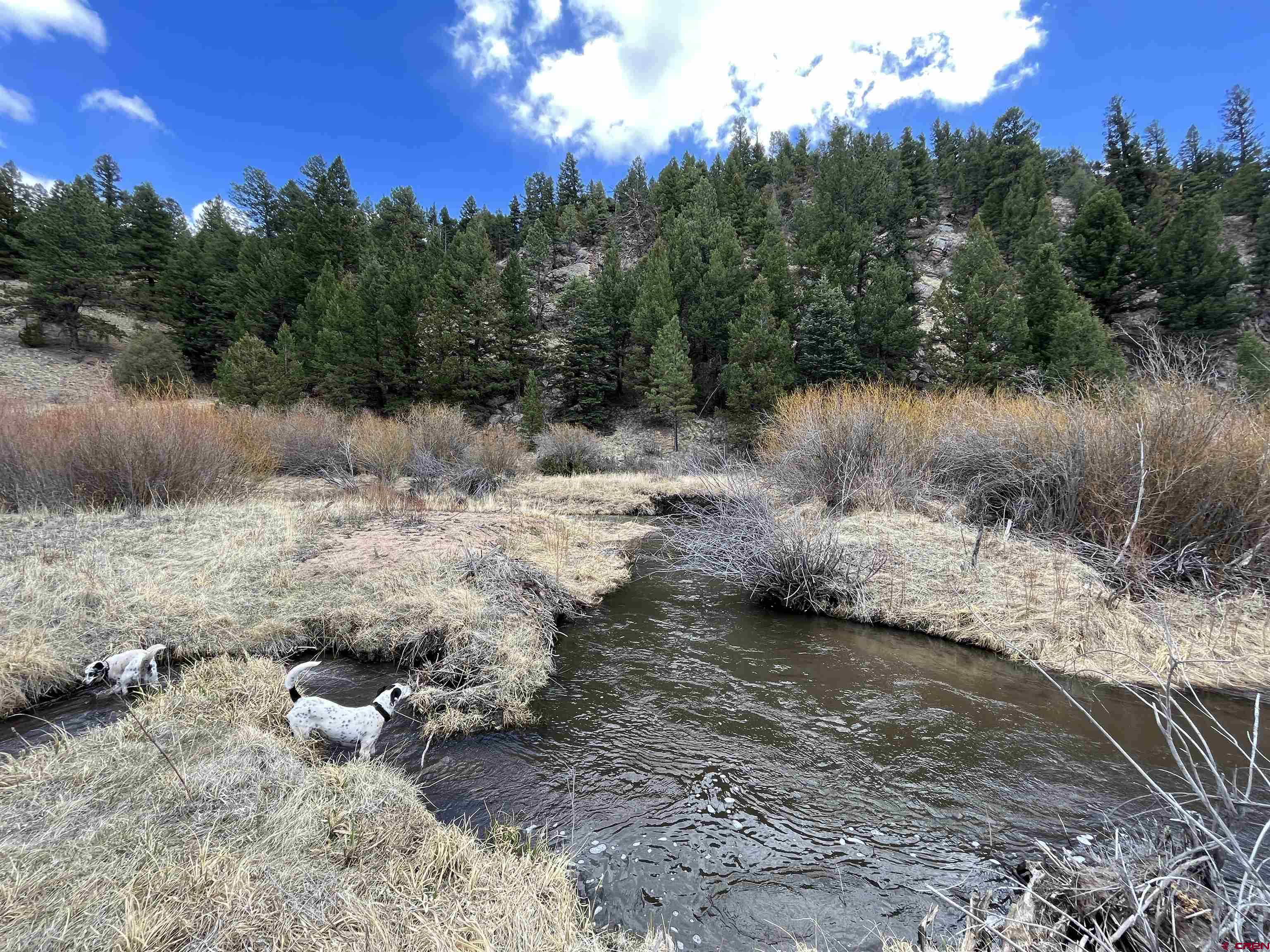 TBD Forbes Wagon Creek Ranch Lot 143 Fort Garland CO 81133 Active