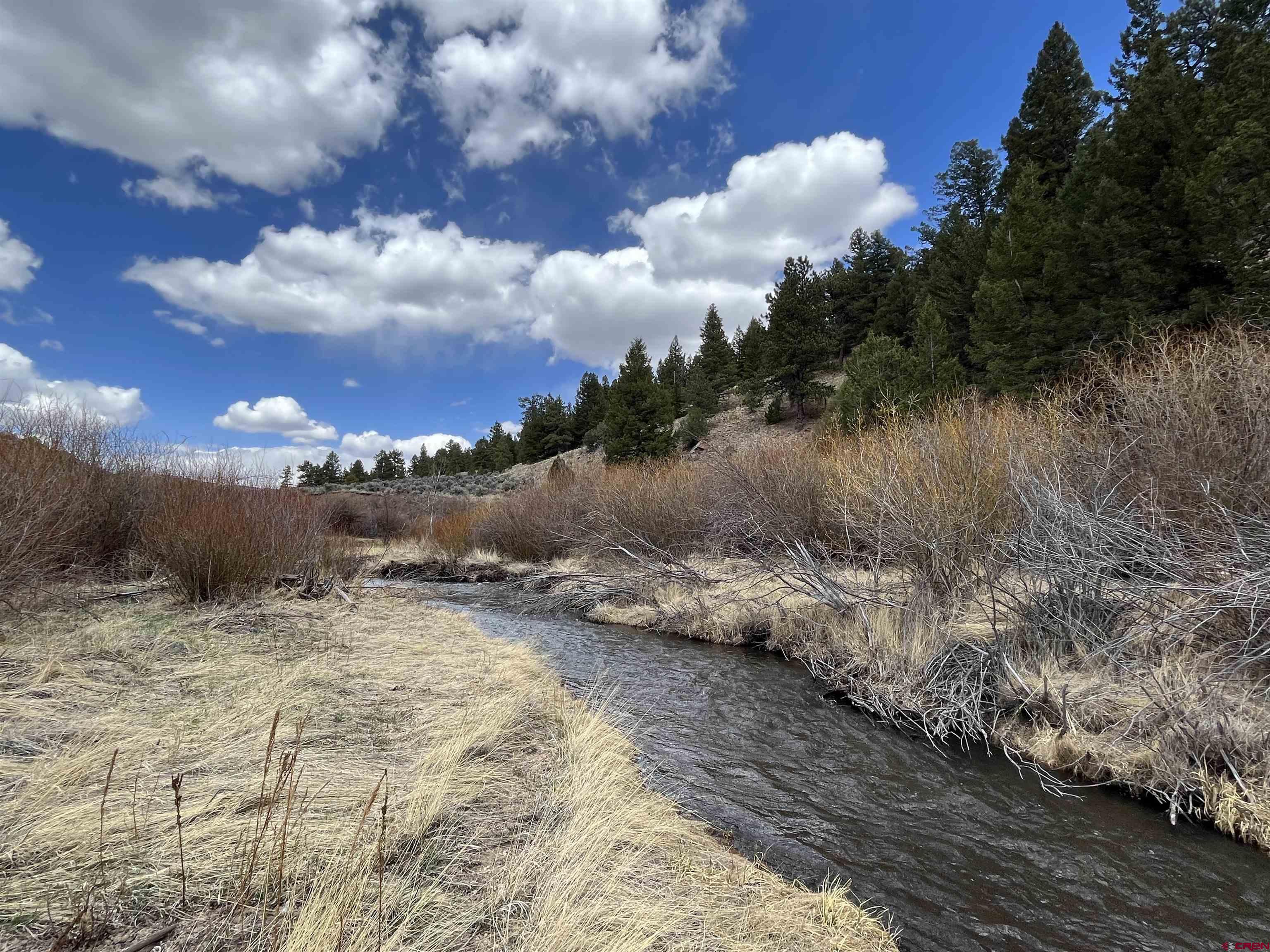 TBD Forbes Wagon Creek Ranch Lot 143 Fort Garland CO 81133 Active