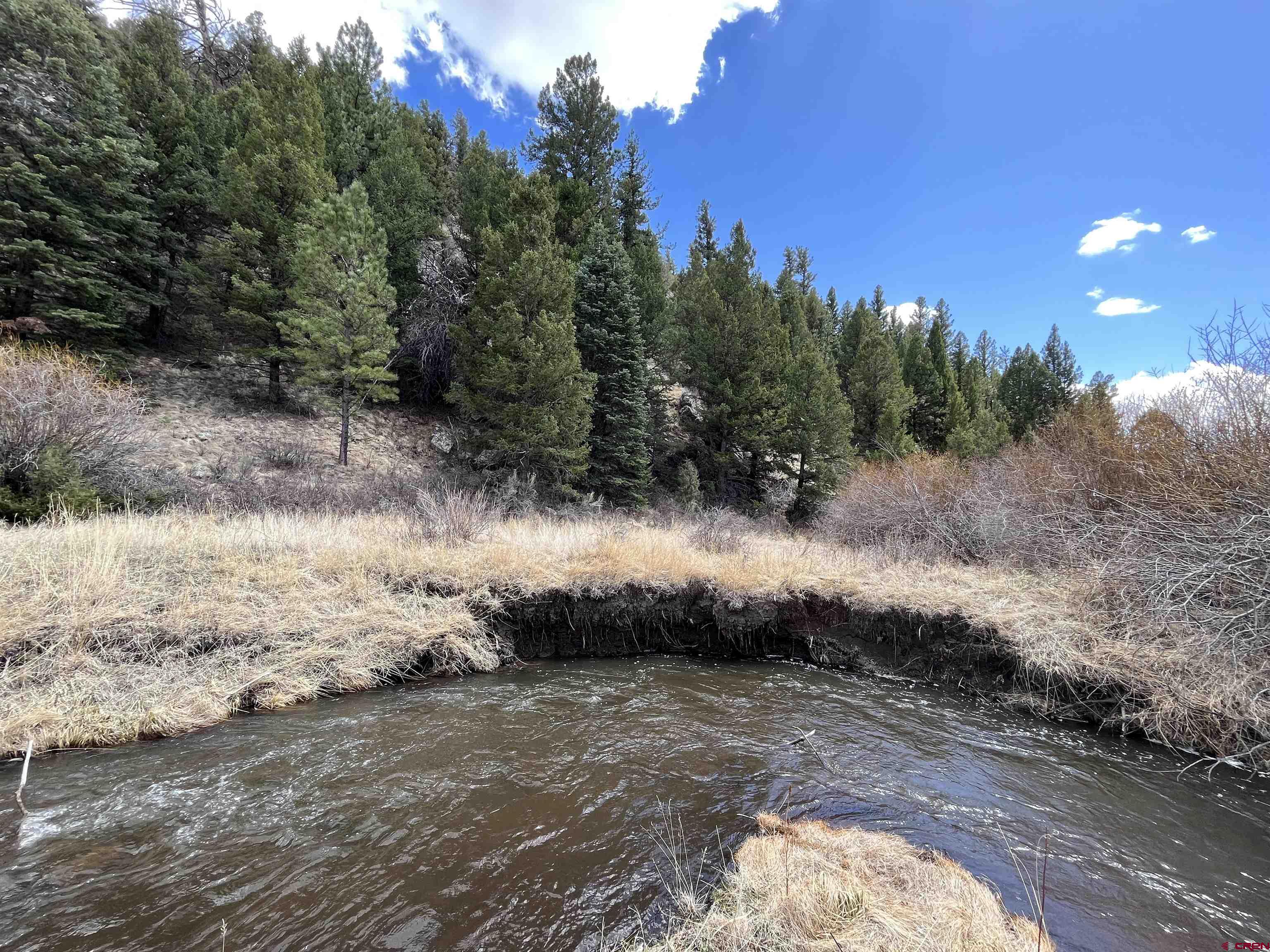 TBD Forbes Wagon Creek Ranch Lot 143 Fort Garland CO 81133 Active