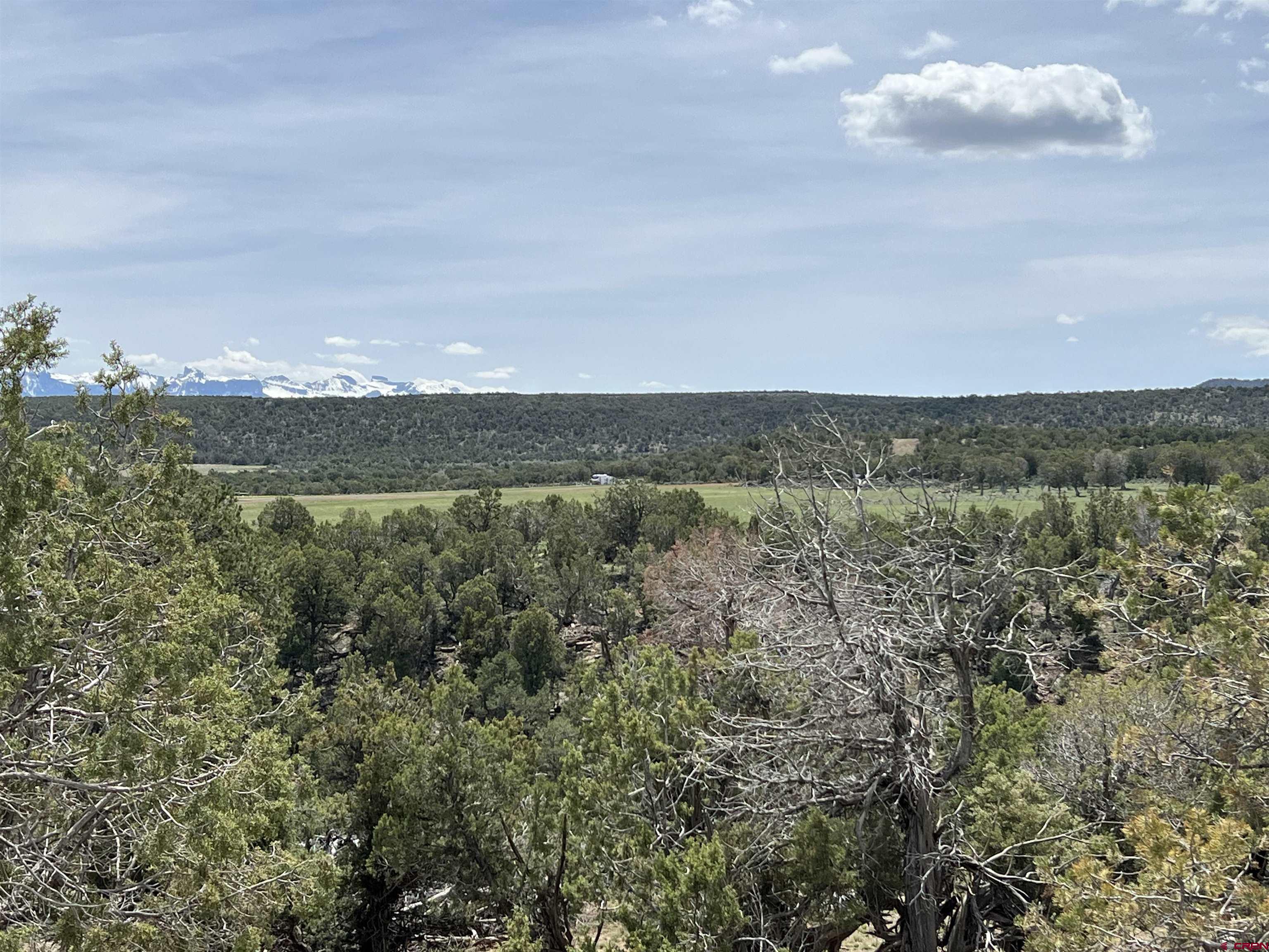 Photo of Tbd County Rd 1C in Montrose, CO