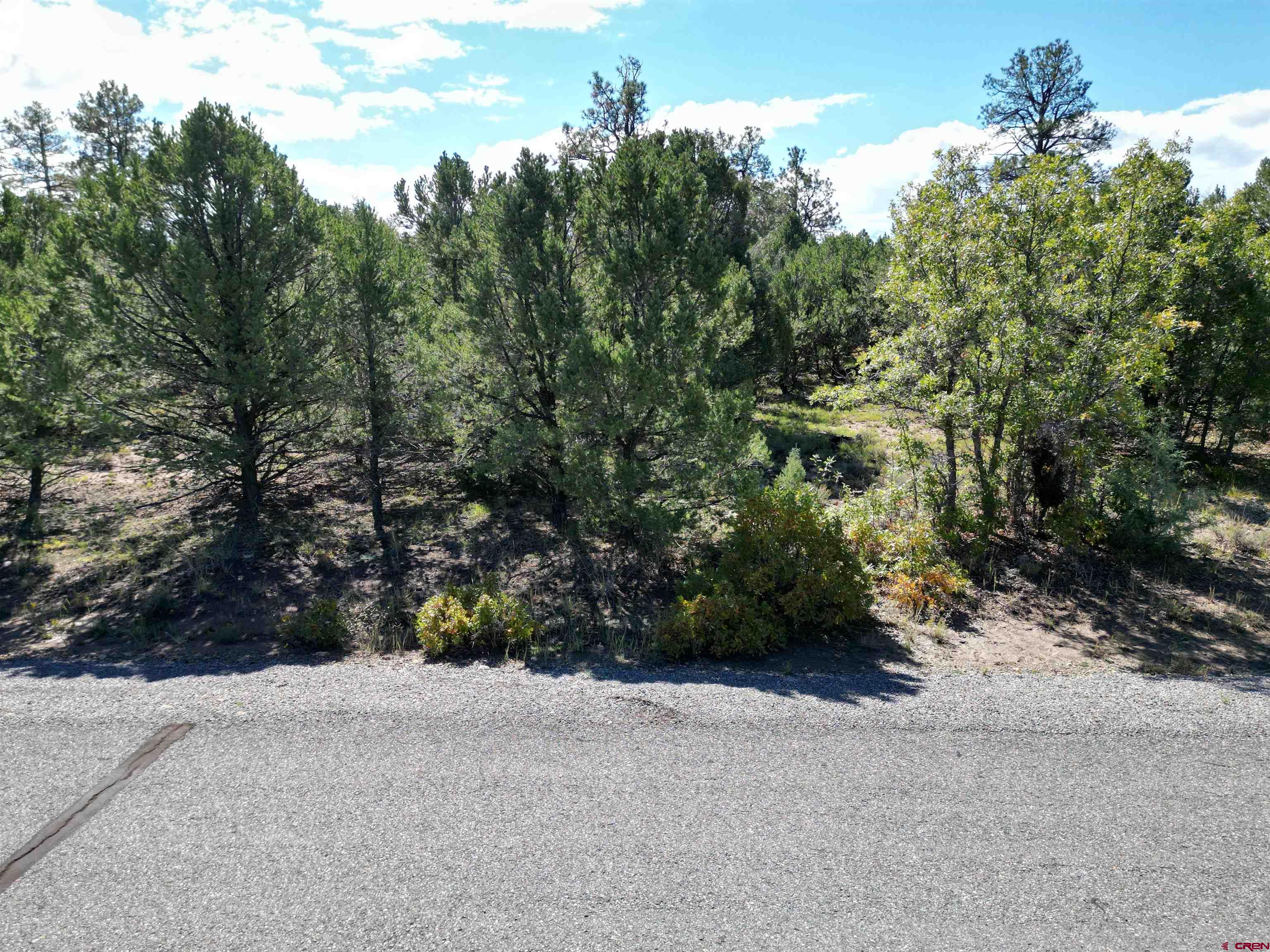 Escape to Divide Ranch & Club and enjoy all that this community has to offer with this amazing 2.002 acreage lot overlooking the 14th fairway of the Divide 18 hole Award Winning Golf Course with 8,600 square foot clubhouse. Design and build your Colorado mountain retreat on this beautiful lot with Ponderosa Pines and views of the surrounding mountain ranges. Located less than 8 miles to historic Ridgway known as the "Gateway to the San Juans" and where the original "True Grit" and "How the West was Won" movies were filmed. Other nearby attractions are Ouray which is known as the "Switzerland of America" and offers many hot springs for people to enjoy is just 10 miles away. The popular town of Telluride is an easy commute, a little over 30 miles away to enjoy world class skiing and summers full of cultural events and outdoor activities. Montrose Regional Airport is just 30 minutes away making it accessible to everyone. This is one of only a few developer serviced lots which includes paid water and sewer taps. A one time mandatory membership initiation fee of $15,000 for the Divide Ranch & Club is due at time of closing.