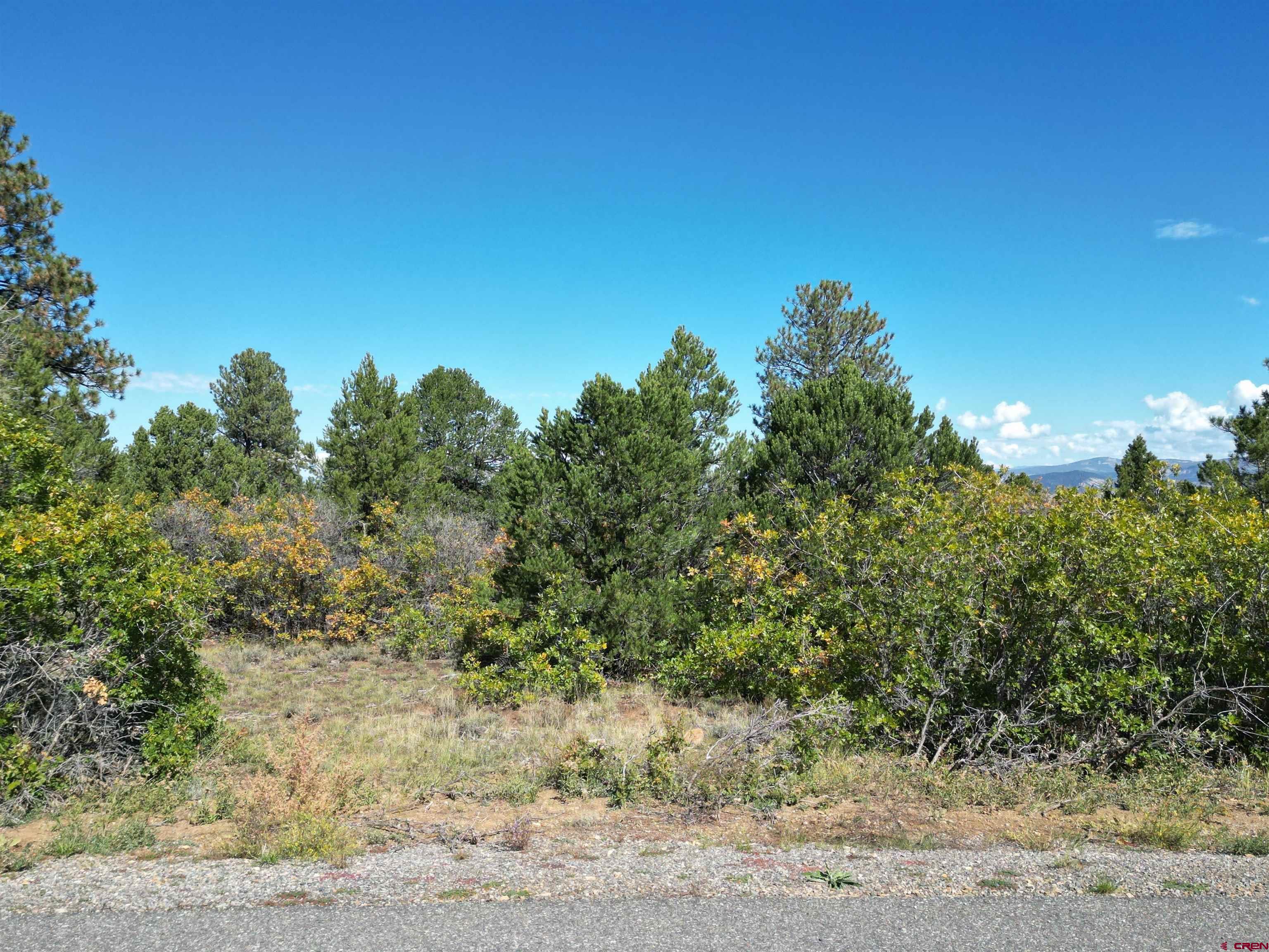 Escape to Divide Ranch & Club and enjoy all that this community has to offer with this amazing 3.997 acreage lot. A golf cart ride away to the Divide 18 hole Award Winning Golf Course with 8,600 square foot clubhouse. Design and build your Colorado mountain retreat on this beautiful lot with Ponderosa Pines and views of the surrounding mountain ranges. Located less than 8 miles to historic Ridgway known as the "Gateway to the San Juans" and where the original "True Grit" and "How the West was Won" movies were filmed. Other nearby attractions are Ouray which is known as the "Switzerland of America" and offers many hot springs for people to enjoy is just 10 miles away. The popular town of Telluride is an easy commute, a little over 30 miles away to enjoy world class skiing and summers full of cultural events and outdoor activities. Montrose Regional Airport is just 30 minutes away making it accessible to everyone. This is one of only a few developer serviced lots which includes paid water and sewer taps. A one time mandatory membership initiation fee of $15,000 for the Divide Ranch & Club is due at time of closing.
