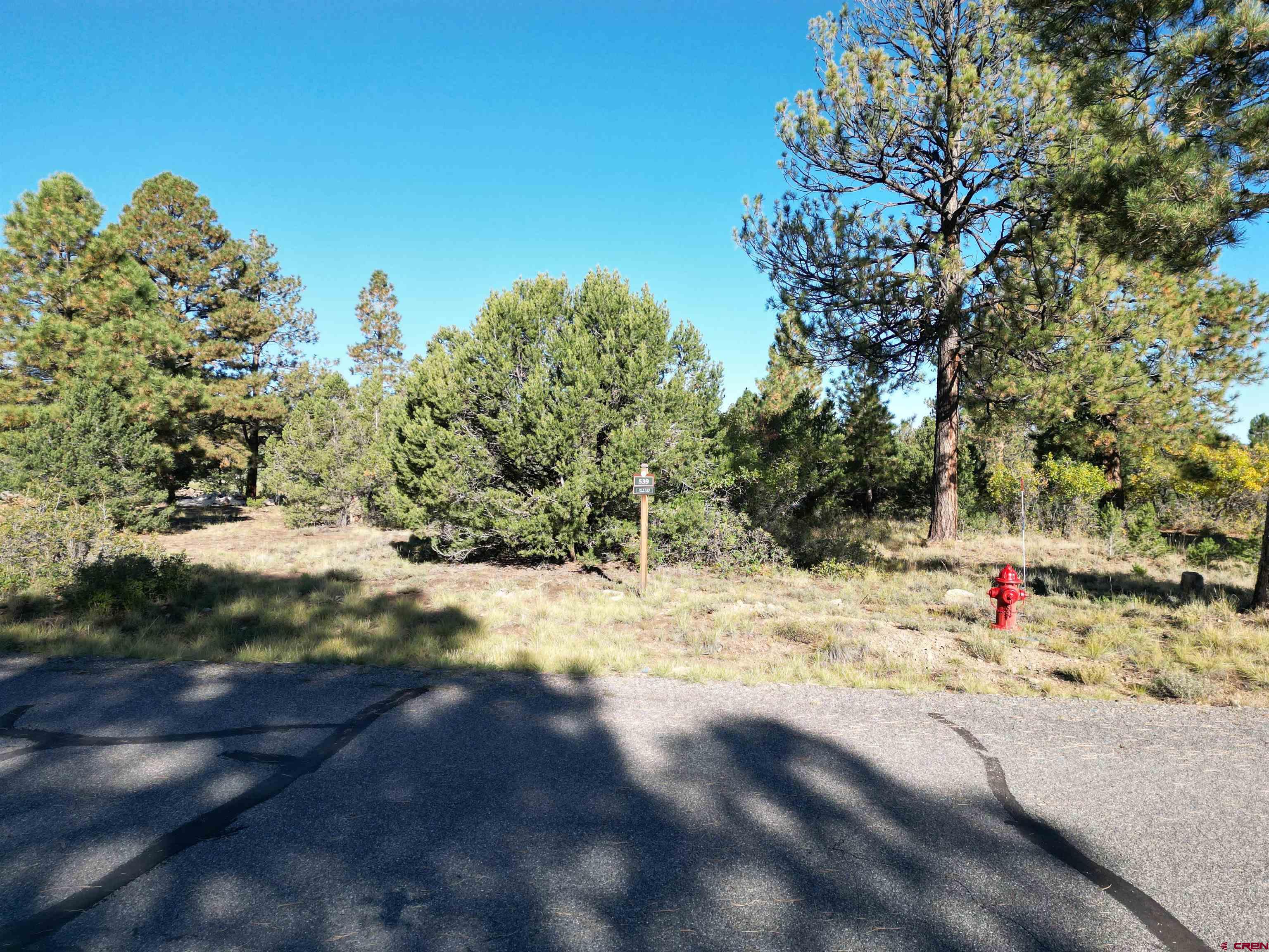Escape to Divide Ranch & Club and enjoy all that this community has to offer with this amazing 0.953 acre lot. This  golf course frontage lot is overlooking the 17th fairway of the Divide 18 hole Award Winning Golf Course with 8,600 square foot clubhouse. Design and build your Colorado golf retreat on this beautiful lot with Ponderosa Pines and views of the surrounding mountain ranges. Located less than 8 miles to historic Ridgway known as the "Gateway to the San Juans" and where the original "True Grit" and "How the West was Won" movies were filmed. Other nearby attractions are Ouray which is known as the "Switzerland of America" and offers many hot springs for people to enjoy is just 10 miles away. The popular town of Telluride is an easy commute, a little over 30 miles away to enjoy world class skiing and summers full of cultural events and outdoor activities. Montrose Regional Airport is just 30 minutes away making it accessible to everyone. This is one of only a few developer serviced lots which includes paid water and sewer taps. A one time mandatory membership initiation fee of $15,000 for the Divide Ranch & Club is due at time of closing.