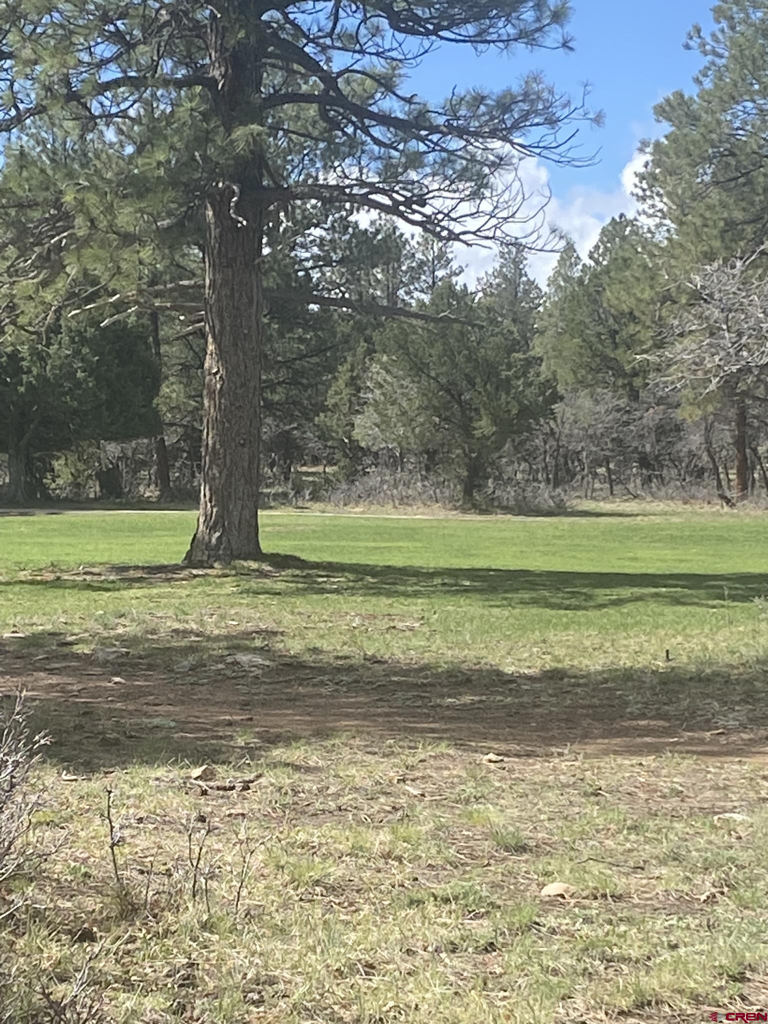 Great Level Lot that backs the 7th Fairway of Divide Ranch & Club Golf Course.  Large Ponderosa Trees and Sneffel's Mountain Range View potential from the South Facing Backyard. All utilities to the lot line including Fiber Optics.    Divide Ranch & Club Golf Course is the perfect spot to get your game on.  Even for those that are not avid golfers there is different scenery from every hole on the course that you do not want to miss out on. In the winter enjoy snowshoeing, cross country skiing and sledding throughout the community.  The clubhouse offers opportunities to meet with your neighbors for a cocktail and a bite to eat.   It is also a gorgeous backdrop for a special events including weddings, birthdays, or other small private parties.  The community is centrally located in Southwestern Colorado within close proximity to every outdoor activity you can imagine.  Enjoy skiing or snowboarding in world renowned Telluride CO in the winter and take advantage of the many festivals offered throughout the summer including, Film, Wine, Yoga, Blue Grass ,Blue‘s & Brew’s and many more .  Ouray, known as the Little Switzerland of the US,  is within 15 min where you can soak in the Hot Springs while looking up at the mountains and hike or drive to waterfalls. Fly fishing, boating, kayaking, paddle boarding, hiking, mountain biking and off-roading is literally minutes away from your front door.  When you are done playing in the mountains stop by one of the local breweries or dine in one of the restaurants.  Divide Ranch & Club is a hidden gem nestled in the San Juan’s and is the perfect spot for a forever home or a second home.