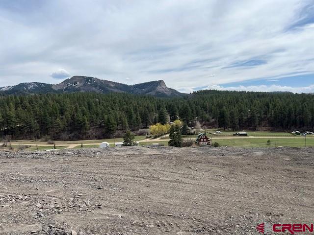 10179 W Highway 160, Pagosa Springs, CO 81147 Listing Photo  14
