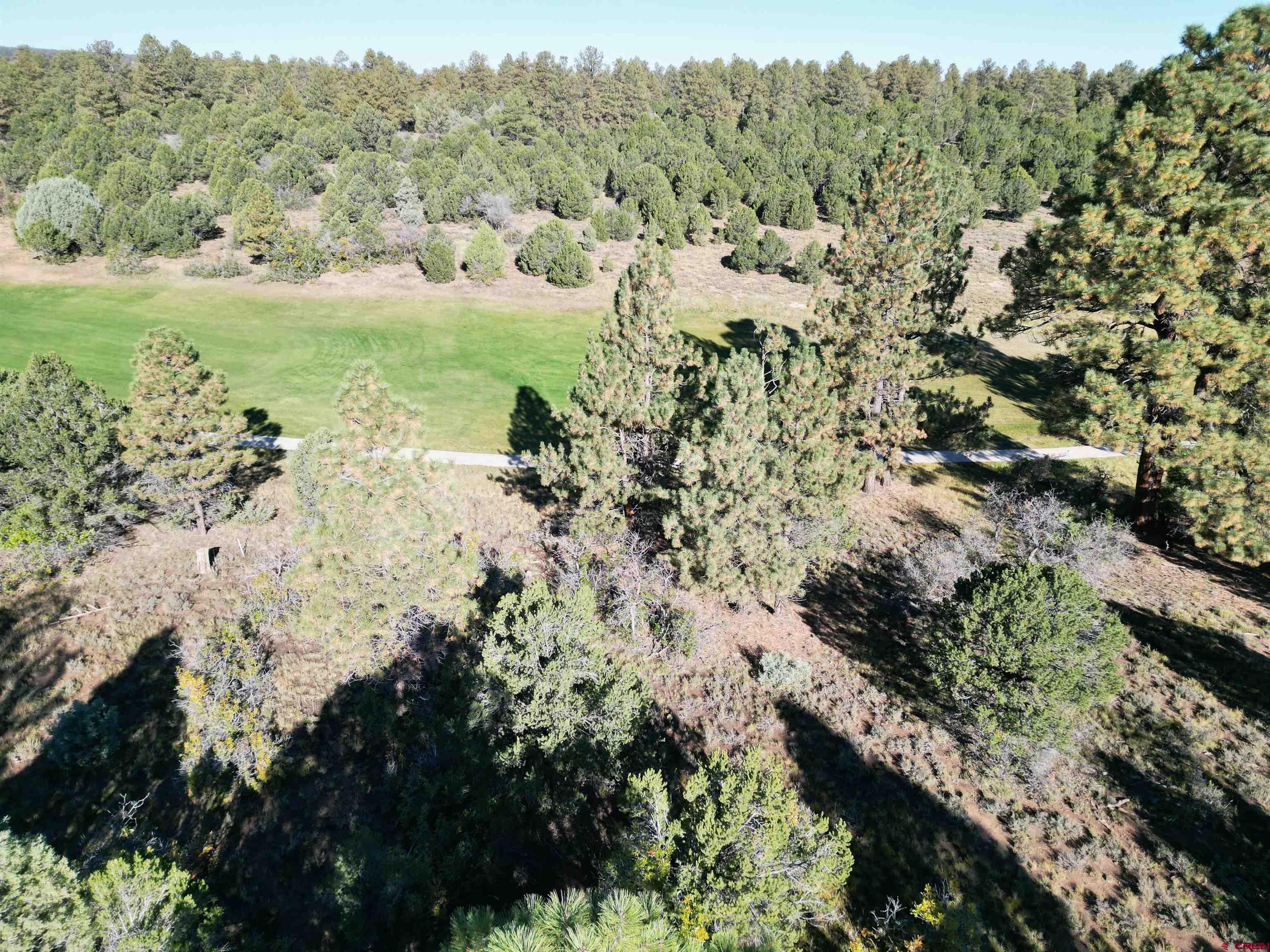 Escape to Divide Ranch & Club and enjoy all that this community has to offer with this amazing 0.949 acre lot. This golf course frontage lot is overlooking the 17th fairway of the Divide 18 hole Award Winning Golf Course with its 8,600 square foot clubhouse. Design and build your Colorado golf retreat on this beautiful lot with Ponderosa Pines and views of the surrounding mountain ranges. Located less than 8 miles to historic Ridgway known as the "Gateway to the San Juans" and where the original "True Grit" and "How the West was Won" movies were filmed. Other nearby attractions are Ouray which is known as the "Switzerland of America" and offers many hot springs for people to enjoy is just 10 miles away. The popular town of Telluride is an easy commute, a little over 30 miles away to enjoy world class skiing and summers full of cultural events and outdoor activities. Montrose Regional Airport is just 30 minutes away making it accessible to everyone. This is one of only a few developer serviced lots which includes paid water and sewer taps. A one time mandatory membership initiation fee of $15,000 for the Divide Ranch & Club is due at time of closing.