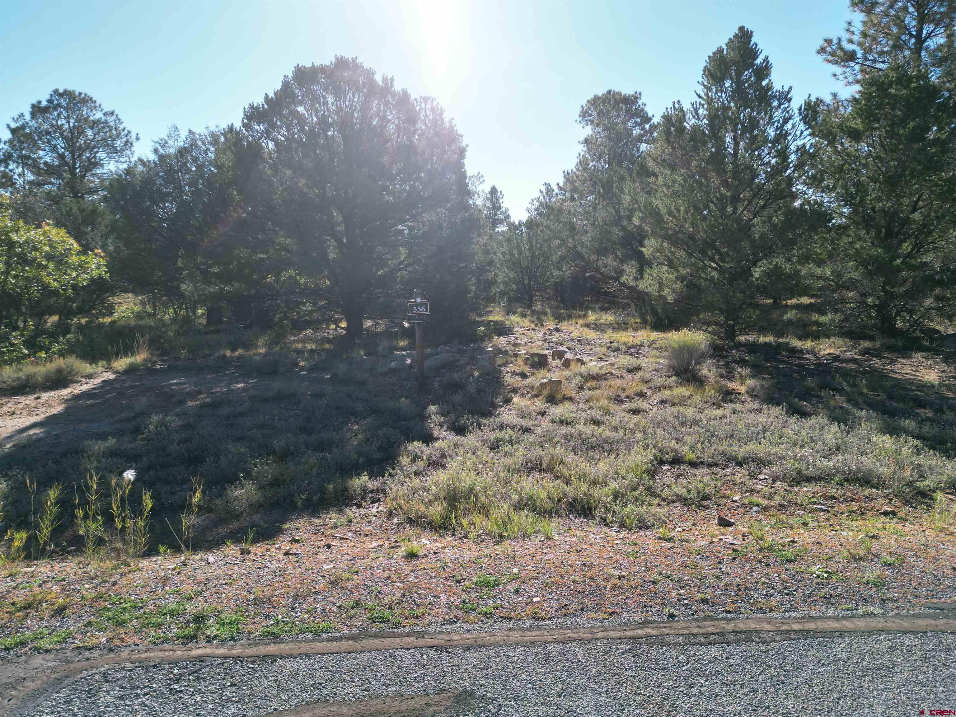 Escape to Divide Ranch & Club and enjoy all that this community has to offer with this amazing 0.920 acre lot. This beautiful lot is overlooking the Divide Ranch reservoir lake. Enjoy the 18 hole Award Winning Golf Course with its 8,600 square foot clubhouse that's a short golf cart ride away. Design and build your Colorado retreat on this beautiful lot with Ponderosa Pines and views of the surrounding mountain ranges and community lake. Located less than 8 miles to historic Ridgway known as the "Gateway to the San Juans" and where the original "True Grit" and "How the West was Won" movies were filmed. Other nearby attractions are Ouray which is known as the "Switzerland of America" and offers many hot springs for people to enjoy is just 10 miles away. The popular town of Telluride is an easy commute, a little over 30 miles away to enjoy world class skiing and summers full of cultural events and outdoor activities. Montrose Regional Airport is just 30 minutes away making it accessible to everyone. This is one of only a few developer serviced lots which includes paid water and sewer taps. A one time mandatory membership initiation fee of $15,000 for the Divide Ranch & Club is due at time of closing.