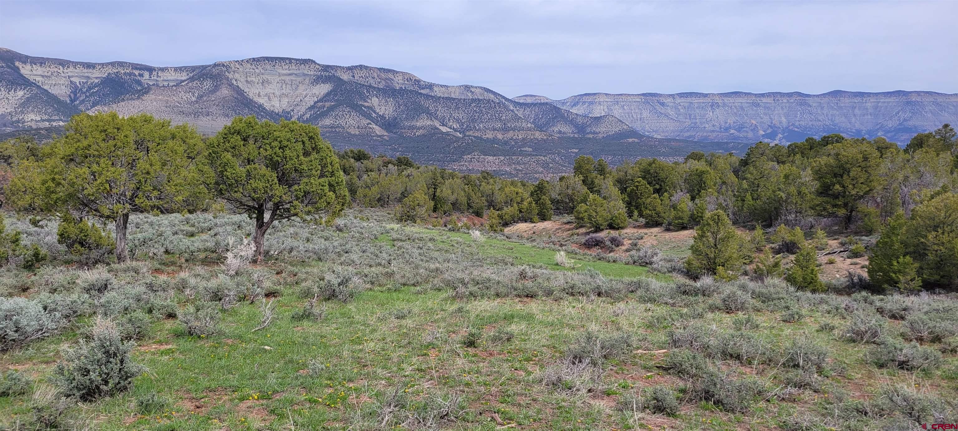 Photo of Tbd X 5/10 Rd D x5/10 Road Rd in De Beque, CO